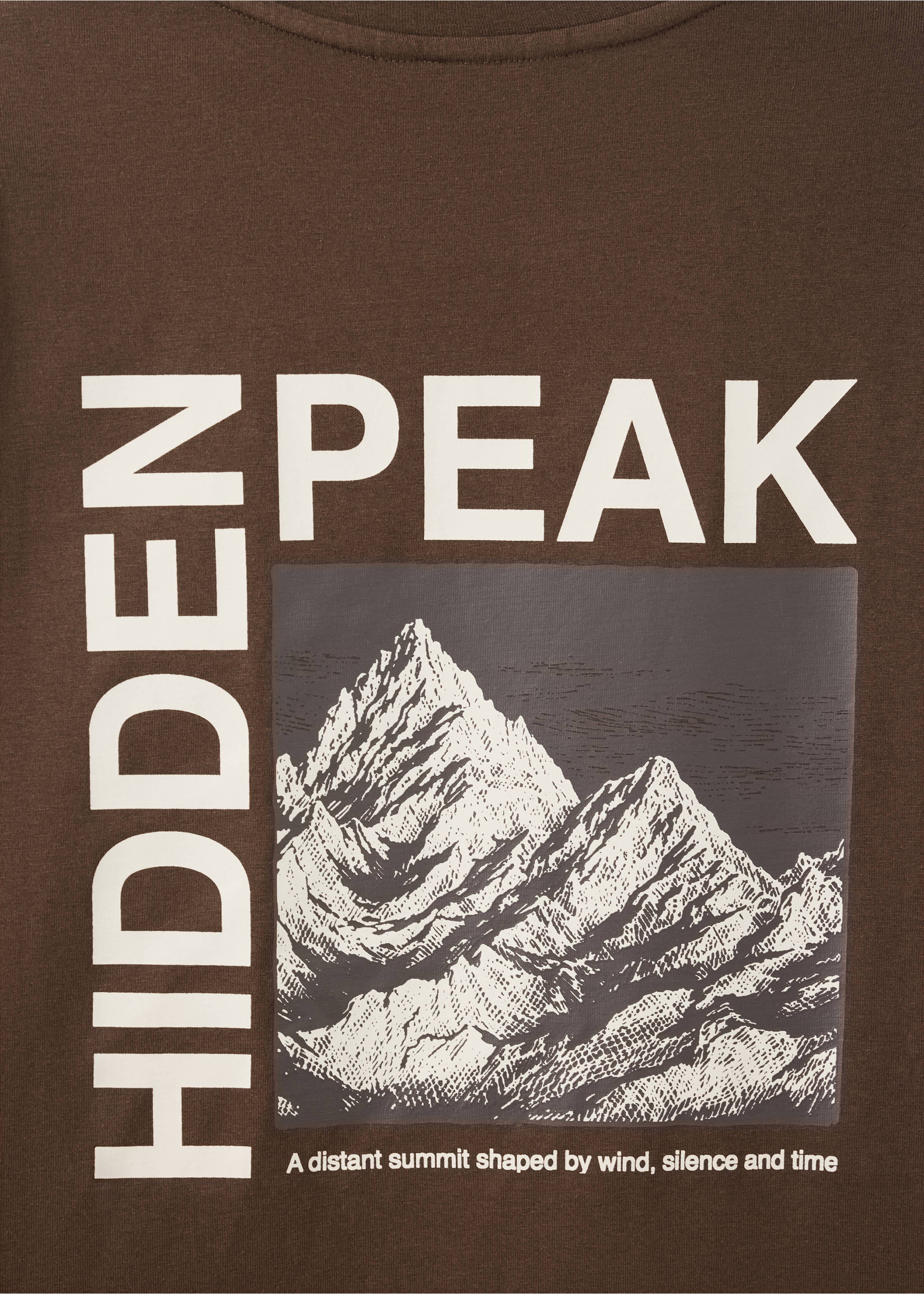 T-SHIRT HIDDEN - Details of the article 0, Brown. Ref: 37057801-00.