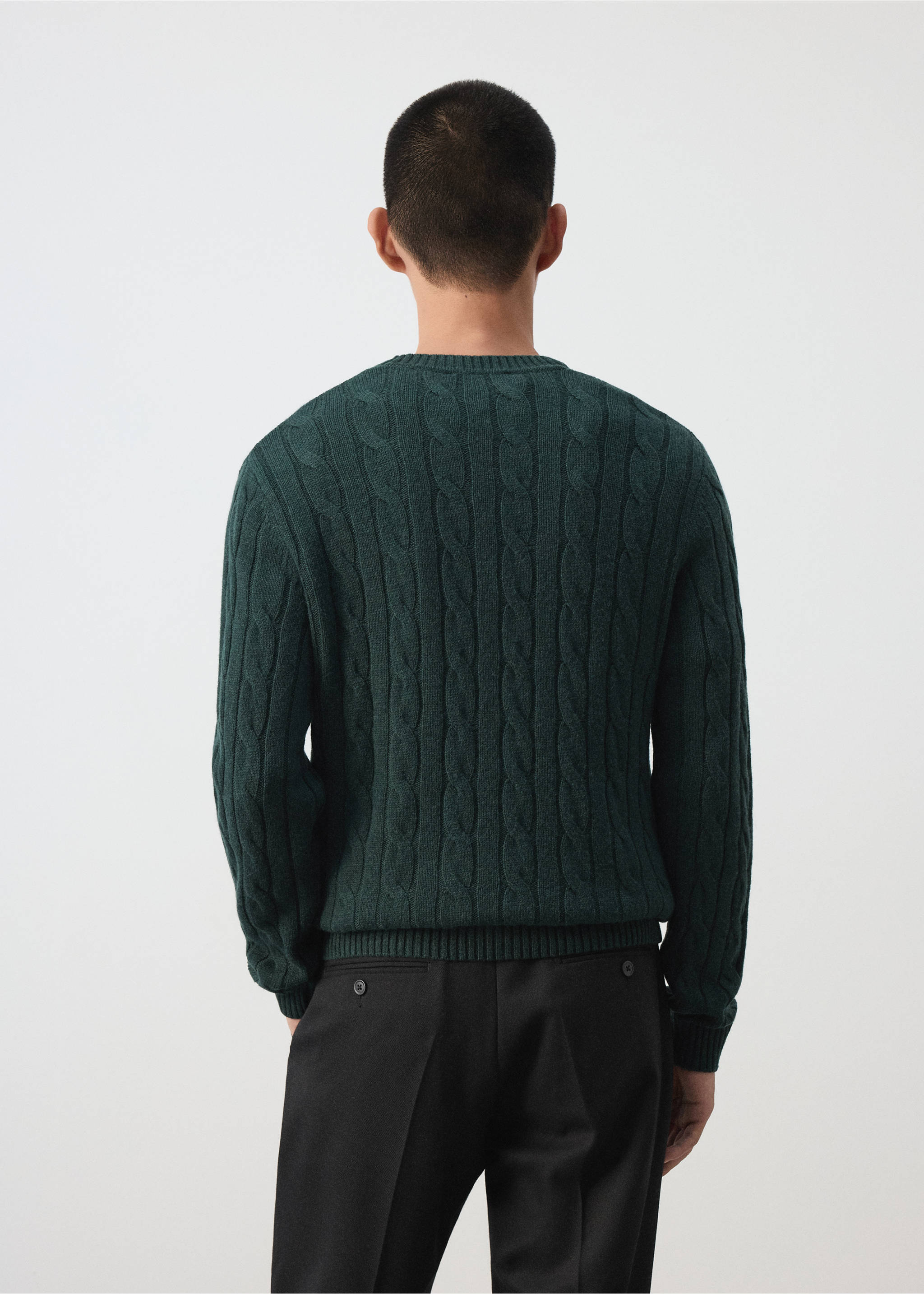 Back view of a dark green cable-knit jersey with a crew neck., Dark Green. Ref: 37057886-00.