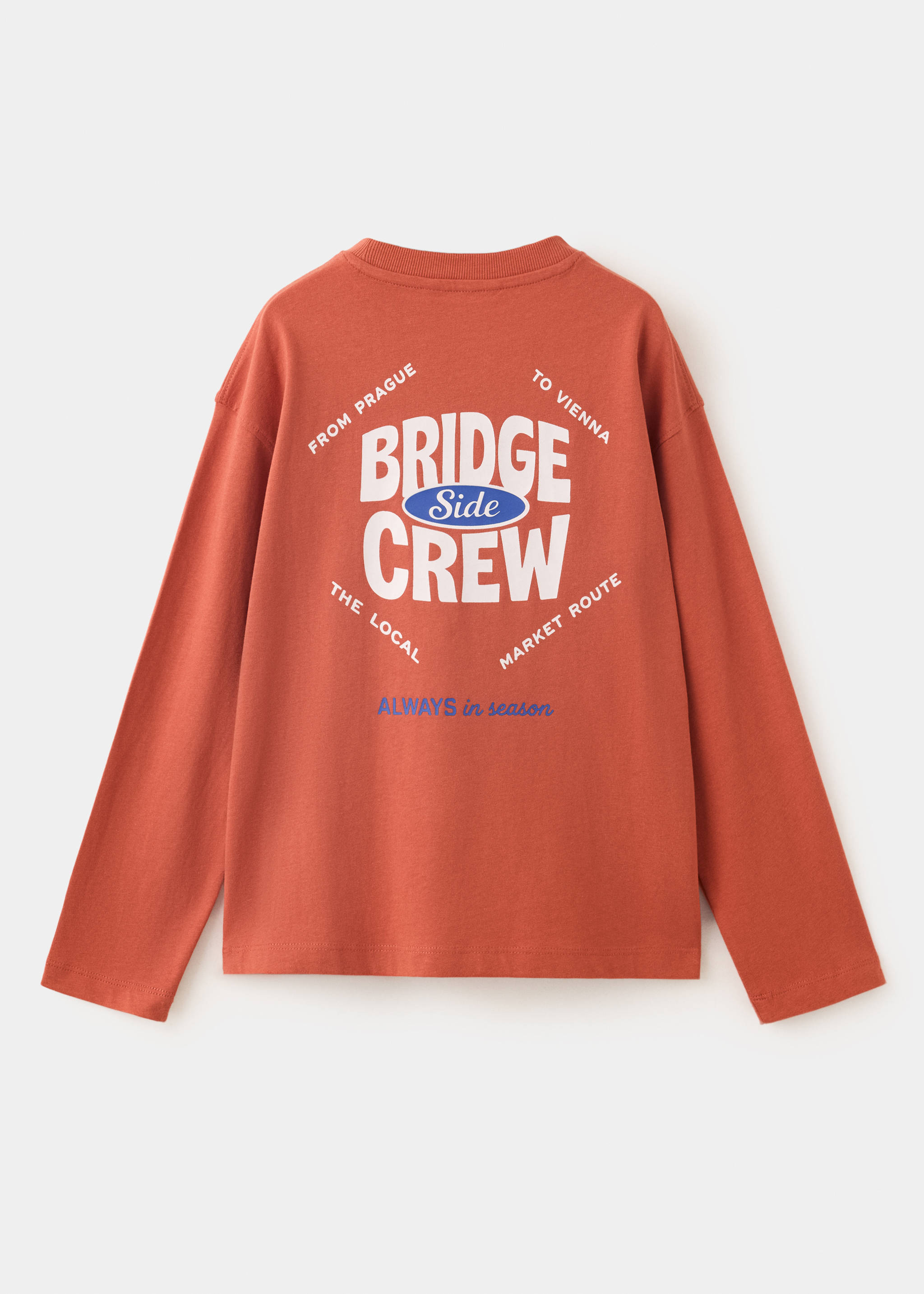 Terracotta long-sleeved t-shirt with a back print, back view.