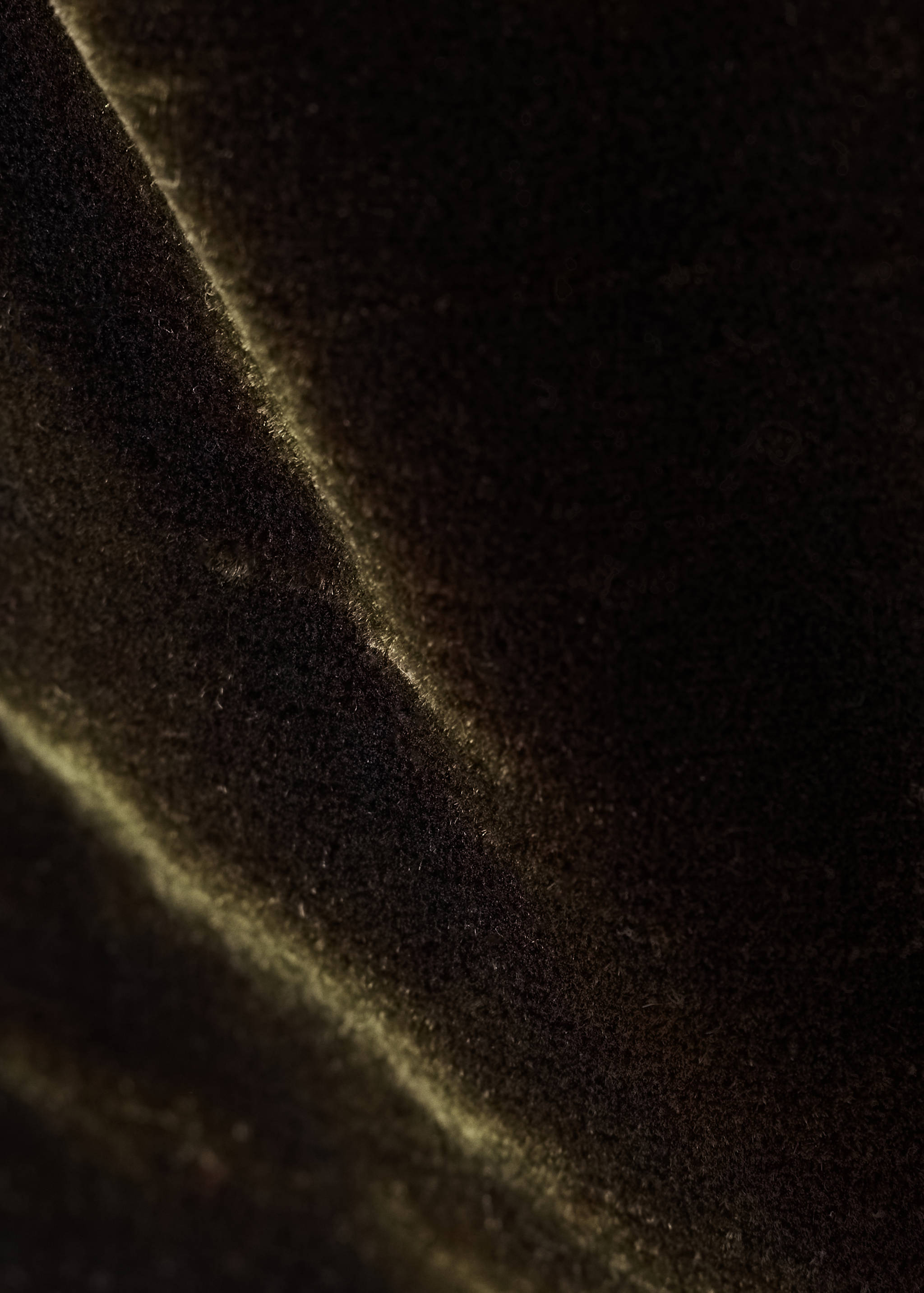 Close-up of the dark olive green velvet fabric texture of shorts.