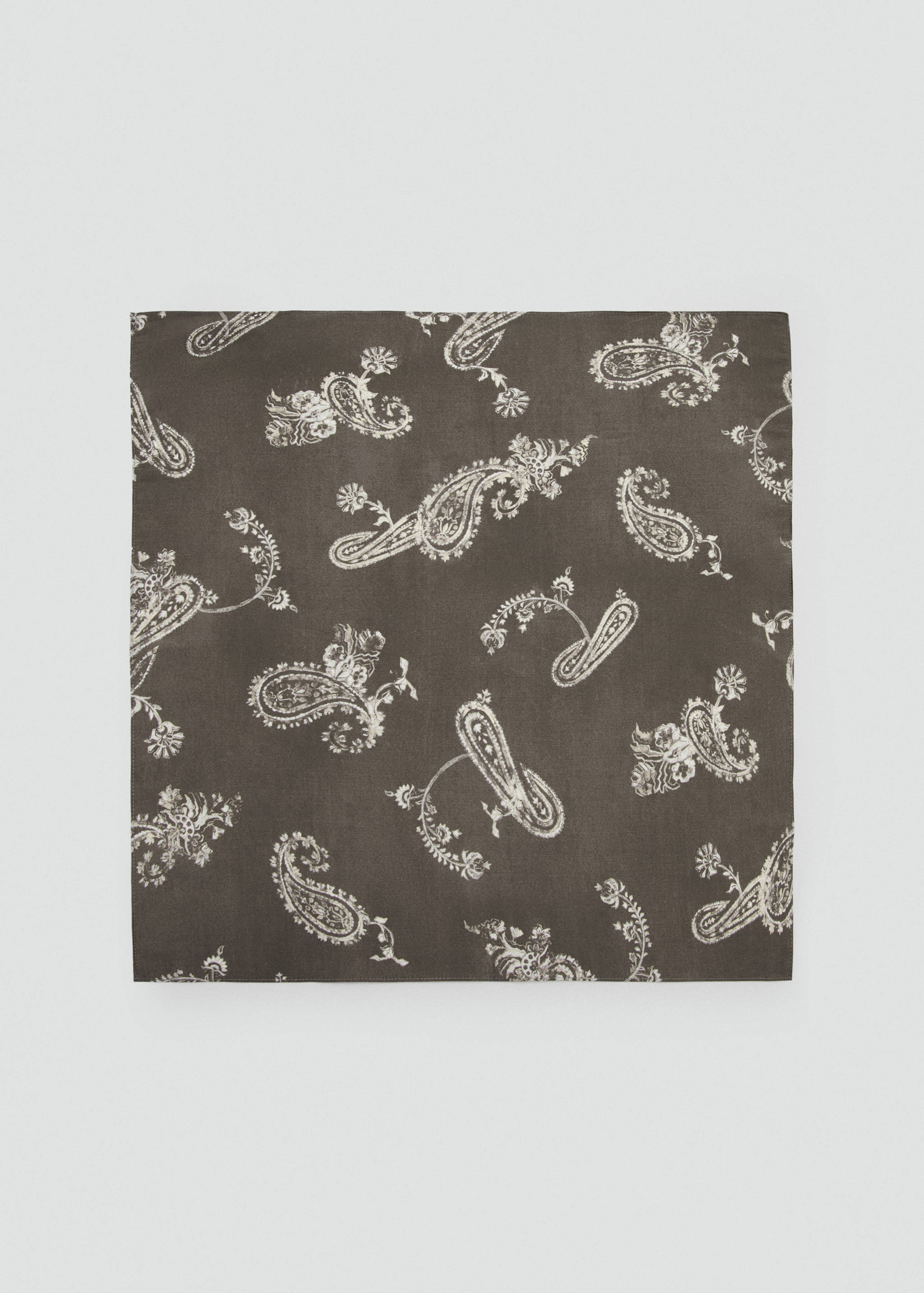 Printed scarf - Article without model