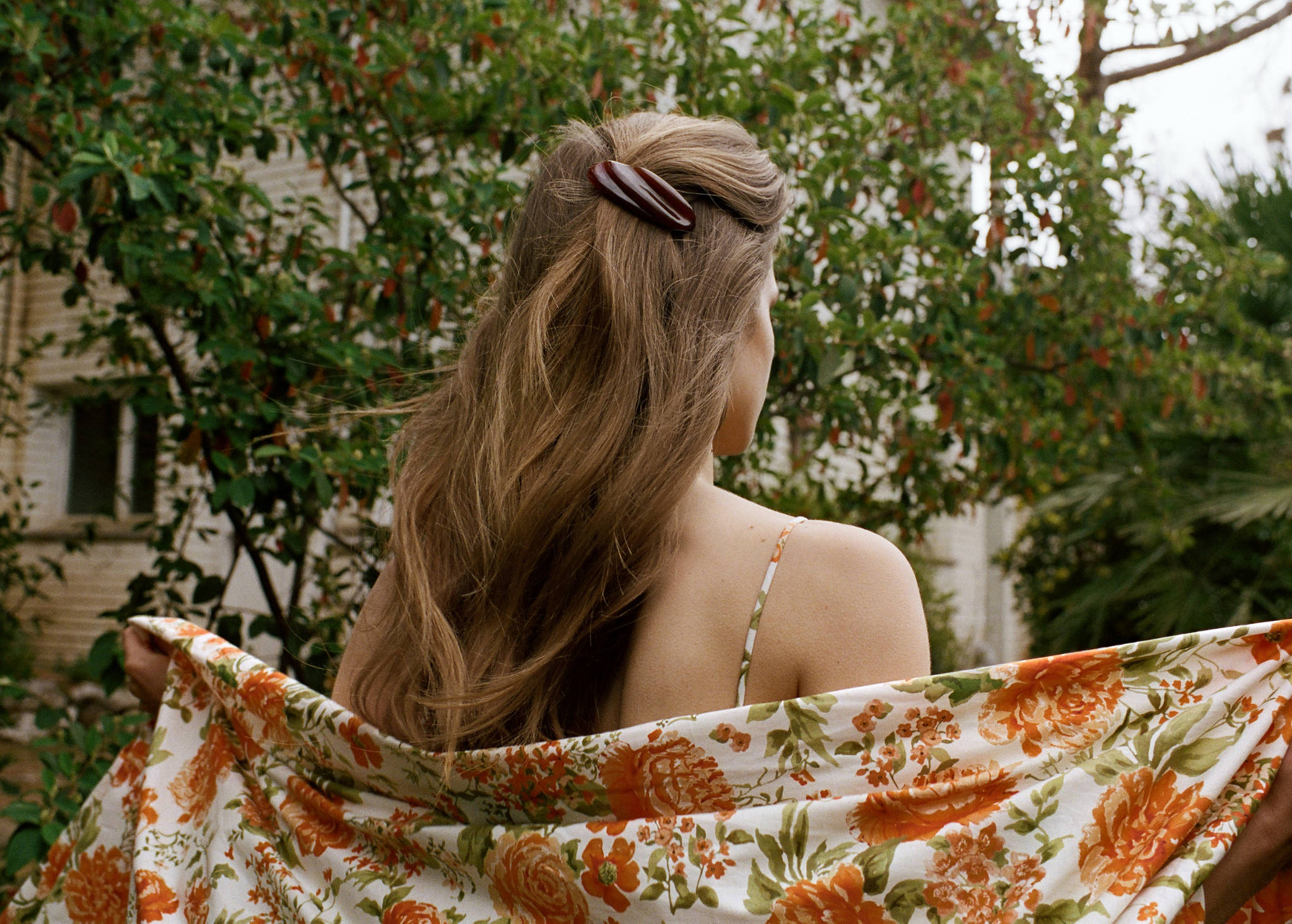 Hairclip 2 set - Panoramic plane