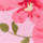 Colour Fuchsia selected