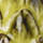 Colour Green Apple selected