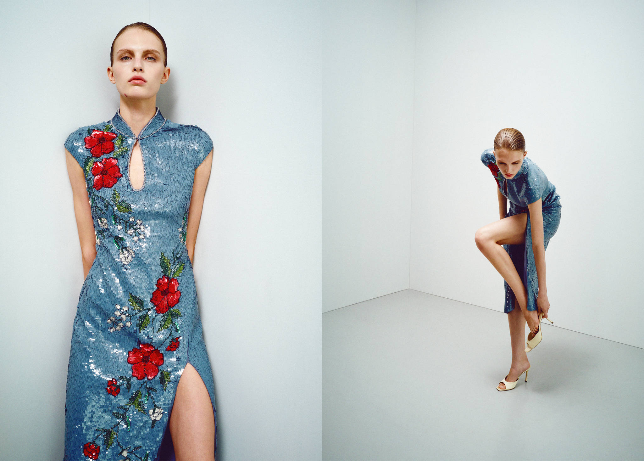 Sequin embroidered dress - Panoramic plane