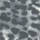 Colour Grey selected
