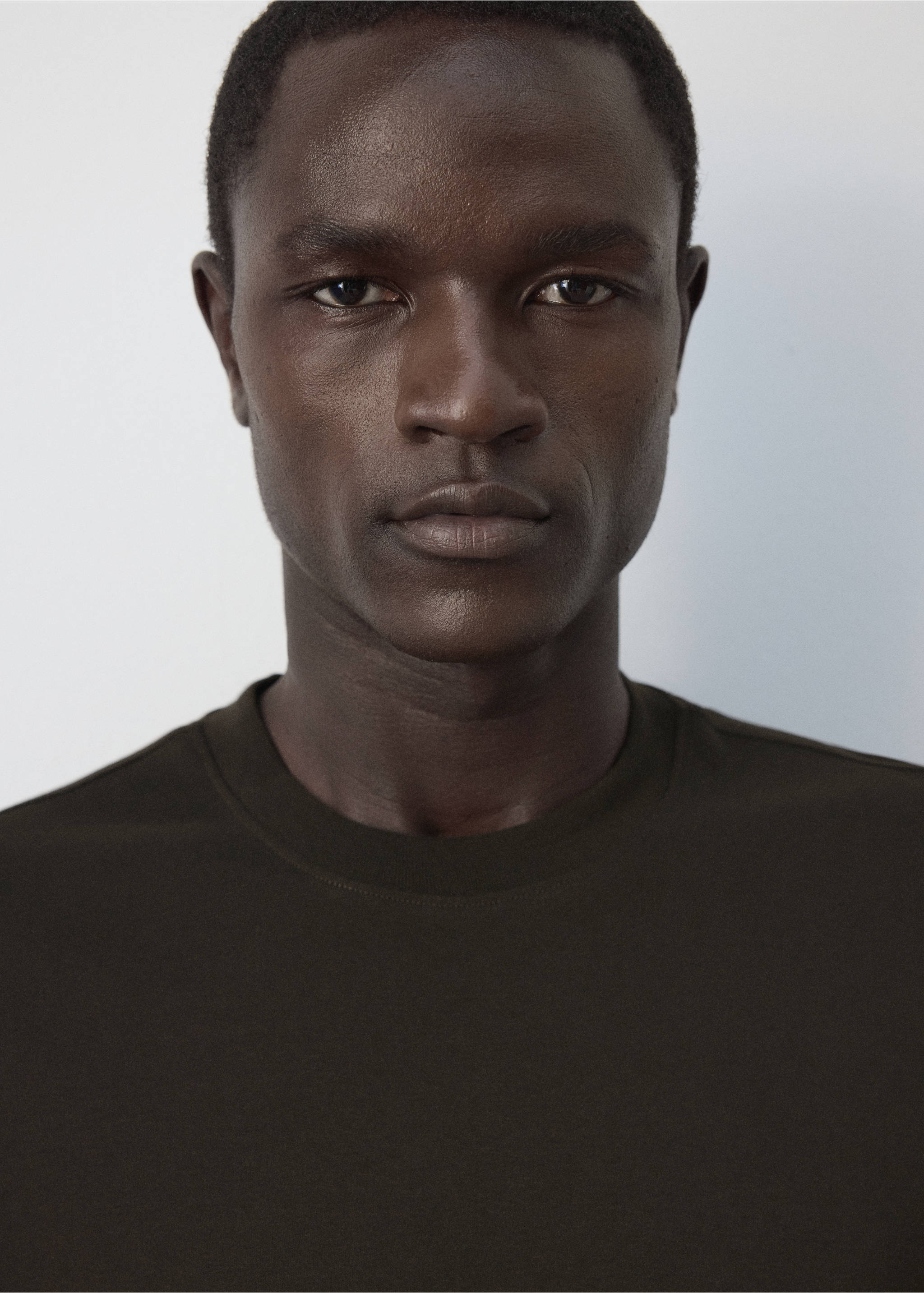 100% cotton T-shirt regular fit - Details of the article 1, Brown. Ref: 37064462-00.