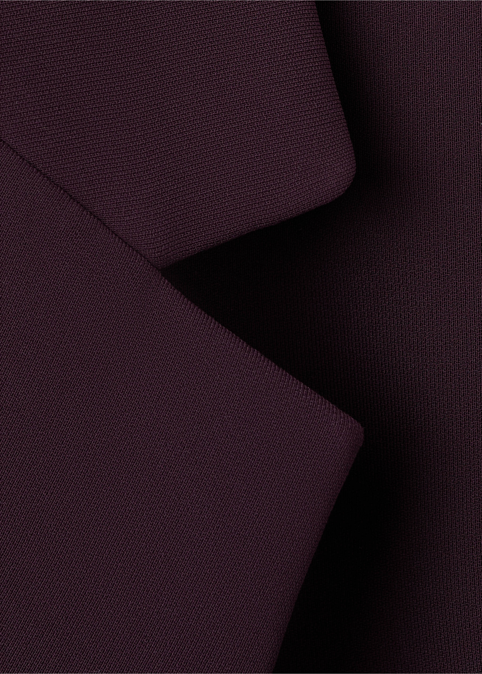 Blazer iguana - Details of the article 8, Maroon. Ref: 37065841-00.