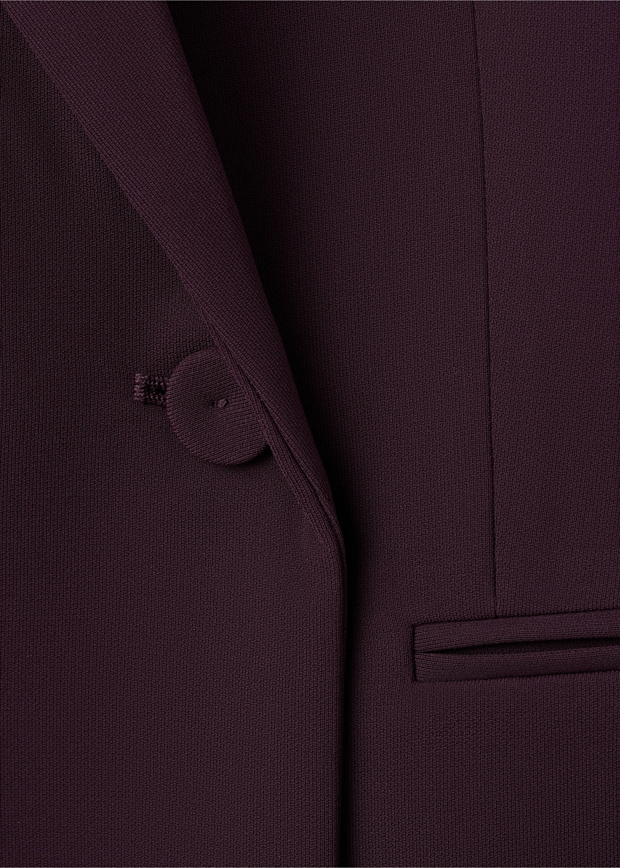 Blazer iguana - Details of the article 0, Maroon. Ref: 37065841-00.