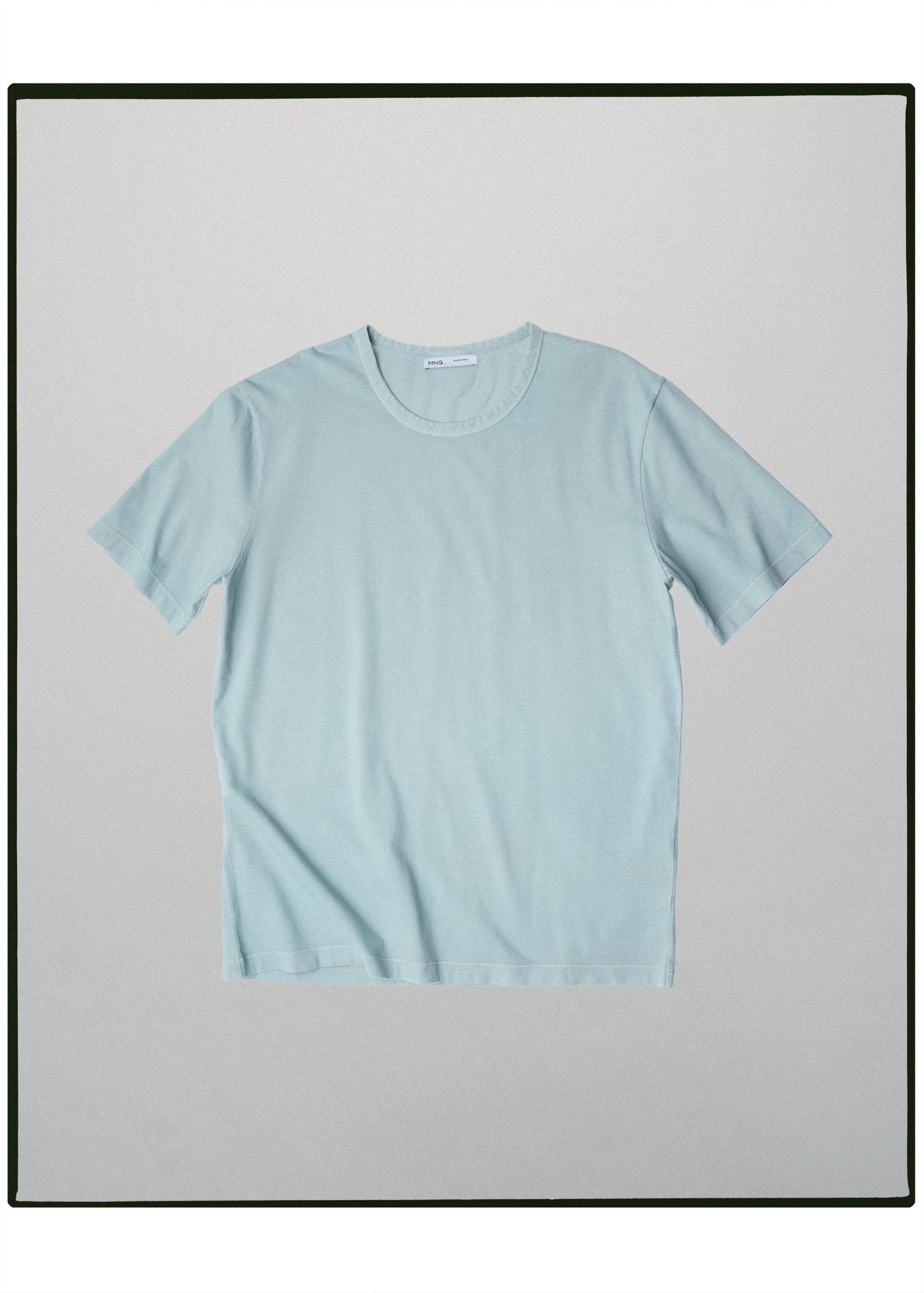 100% cotton T-shirt regular fit - Article without model