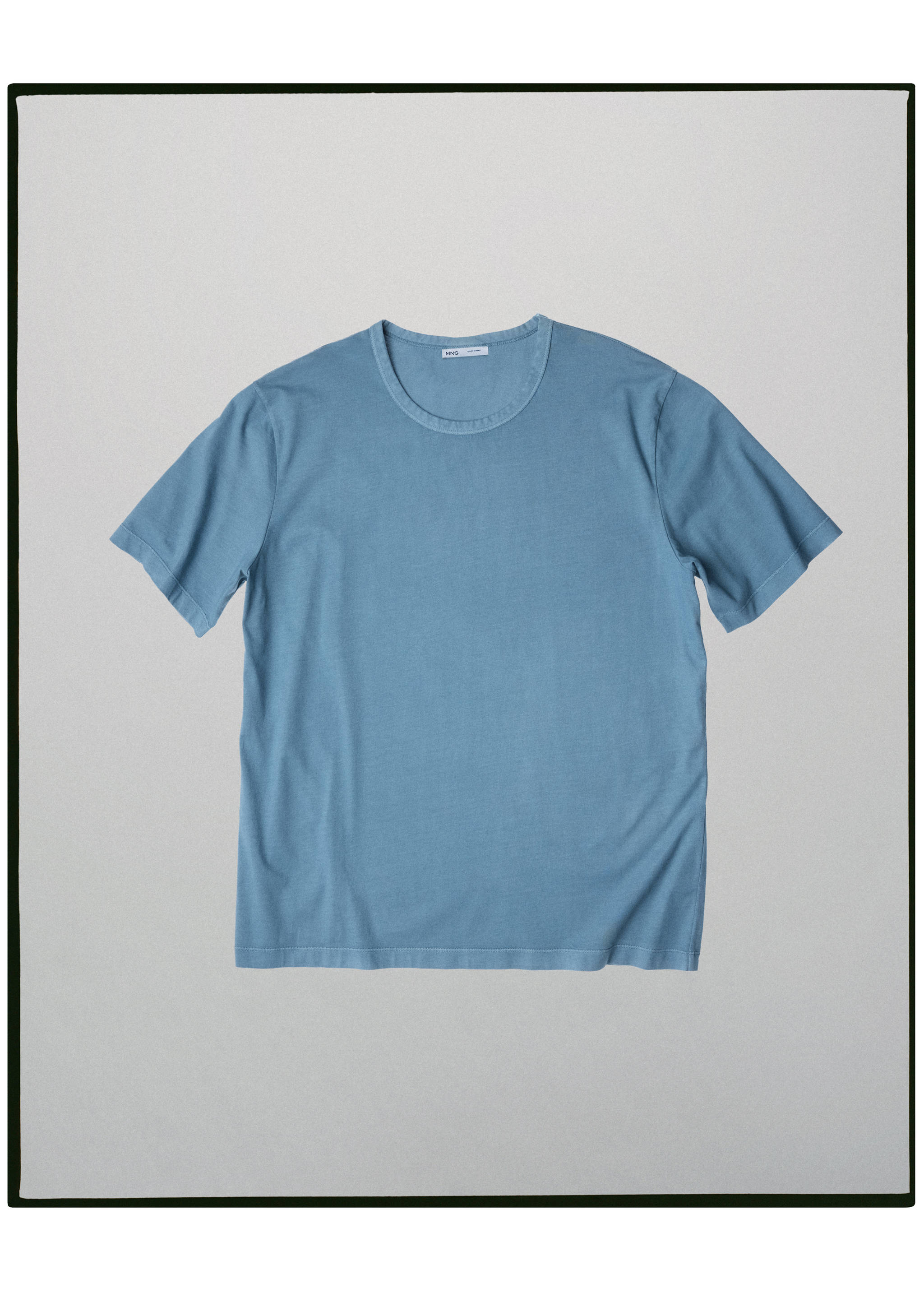 100% cotton T-shirt regular fit - Article without model