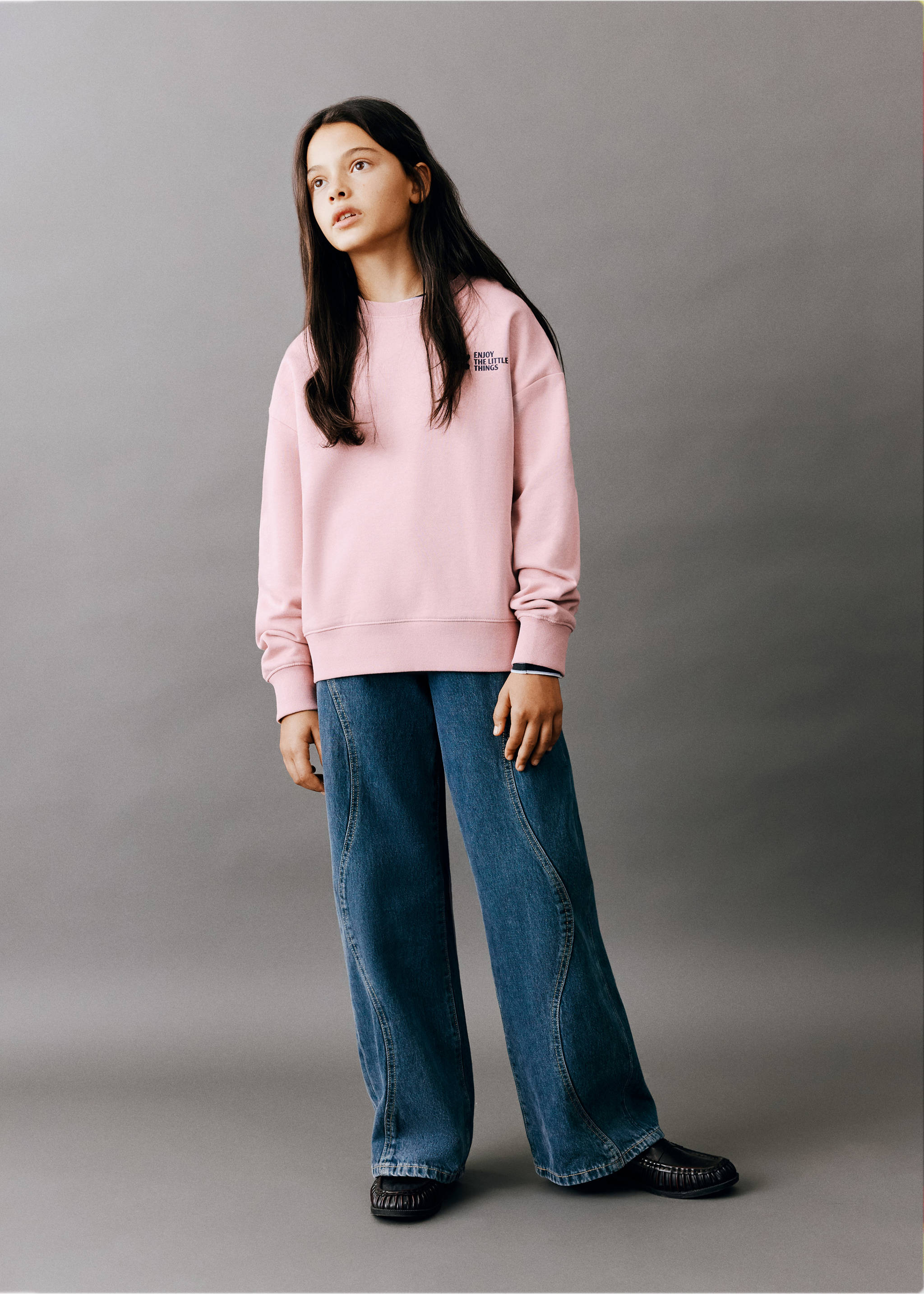 Printed sweatshirt 100% cotton - General plane, Pink. Ref: 37066003-00.