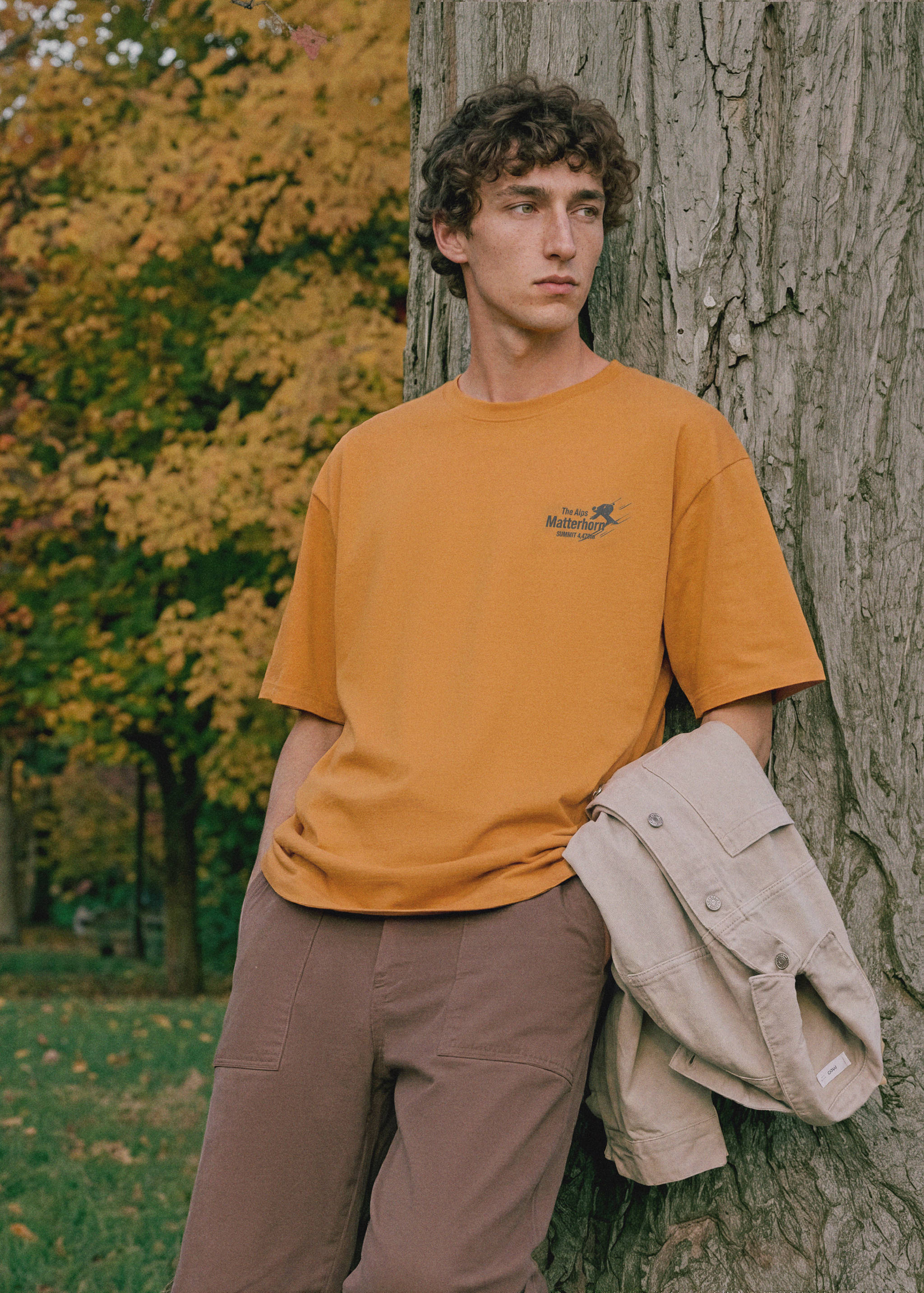 Cotton T-shirt with mountain print - Medium plane