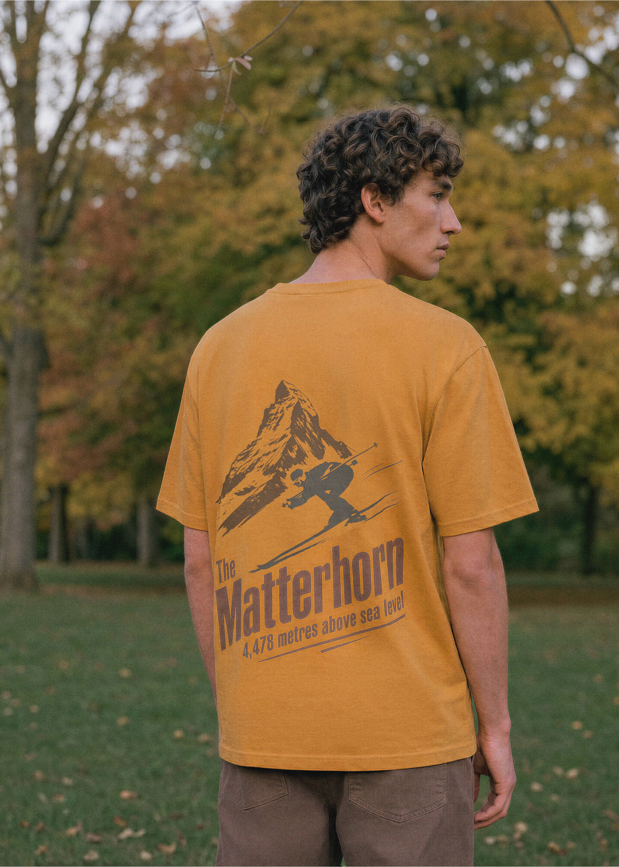 Mustard yellow short-sleeved t-shirt with a Matterhorn mountain graphic on the back, back view., Mustard. Ref: 37067804-00.
