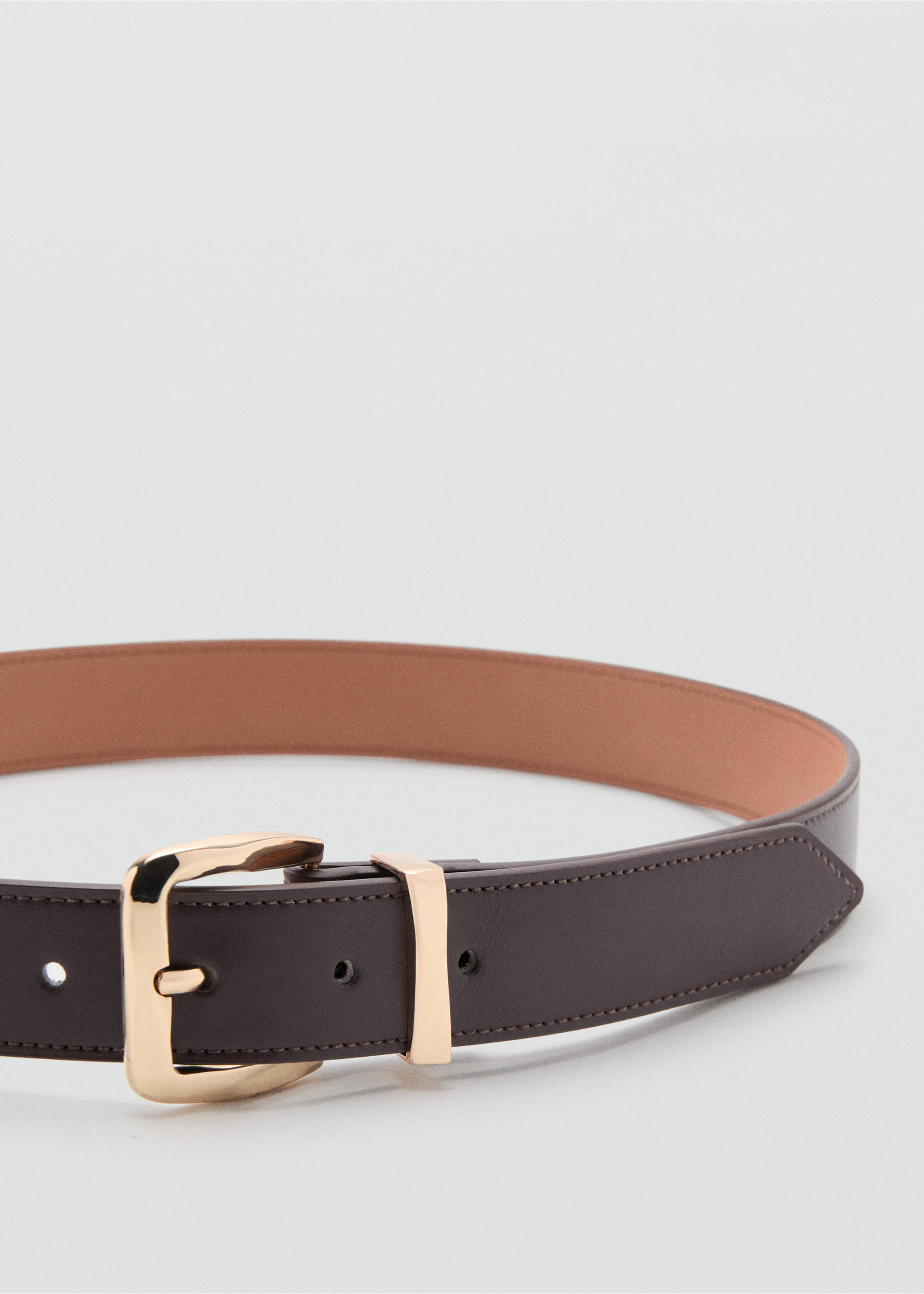 Embossed buckle belt - Medium plane, Chocolate. Ref: 37071332-00.
