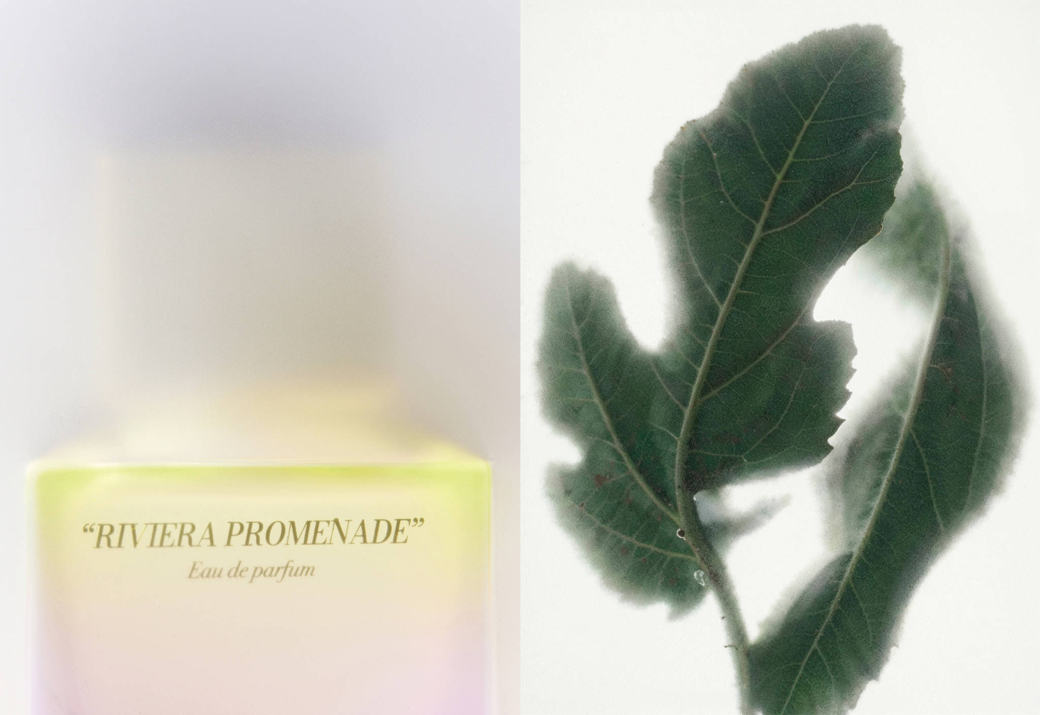 Parfum Riviera Promenade 80 ml - Plan panoramique