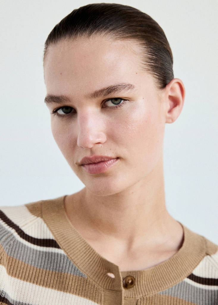 Striped rib sweater — Brown