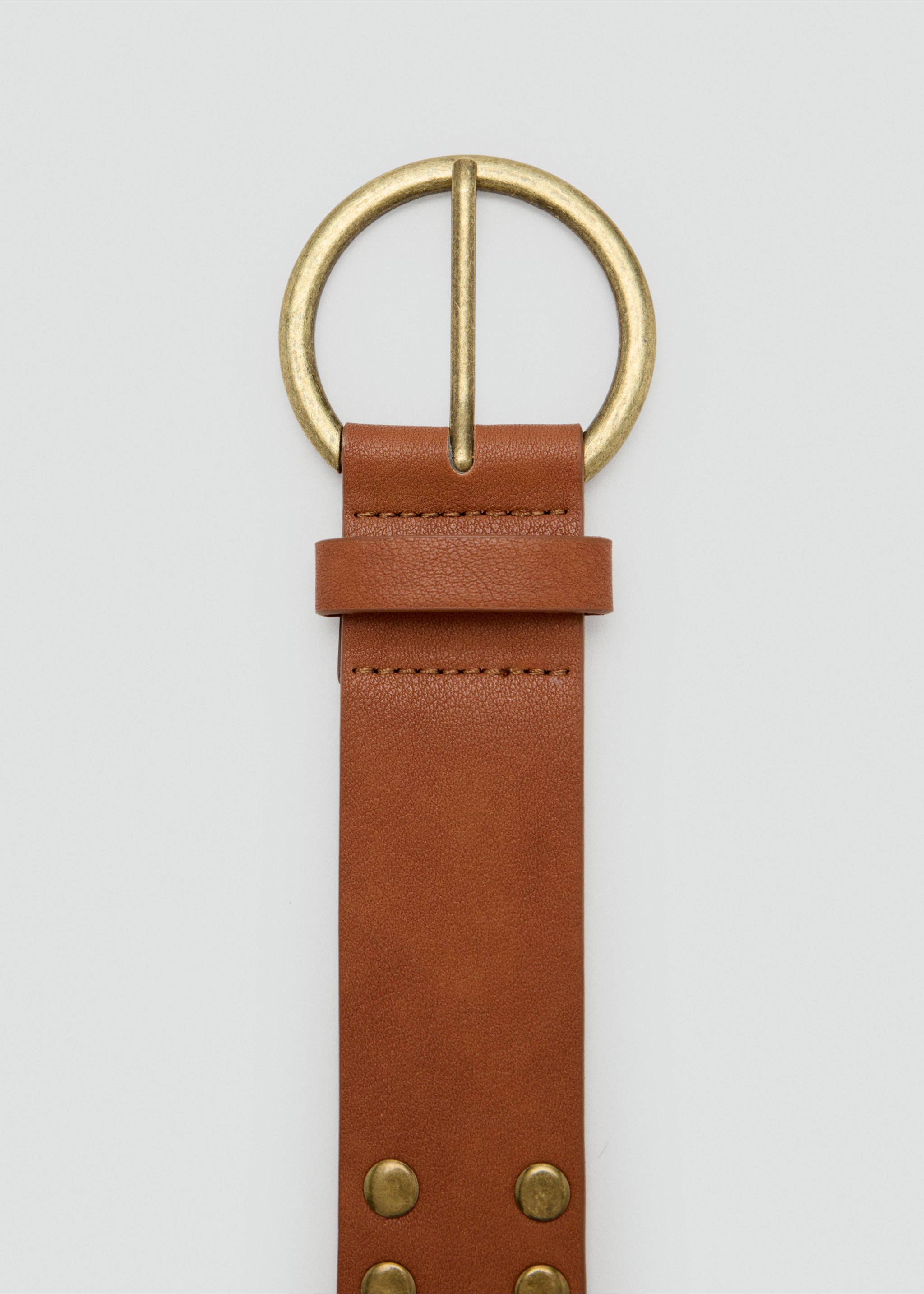 Belt caprim - Details of the article 1, Brown. Ref: 37073875-00.