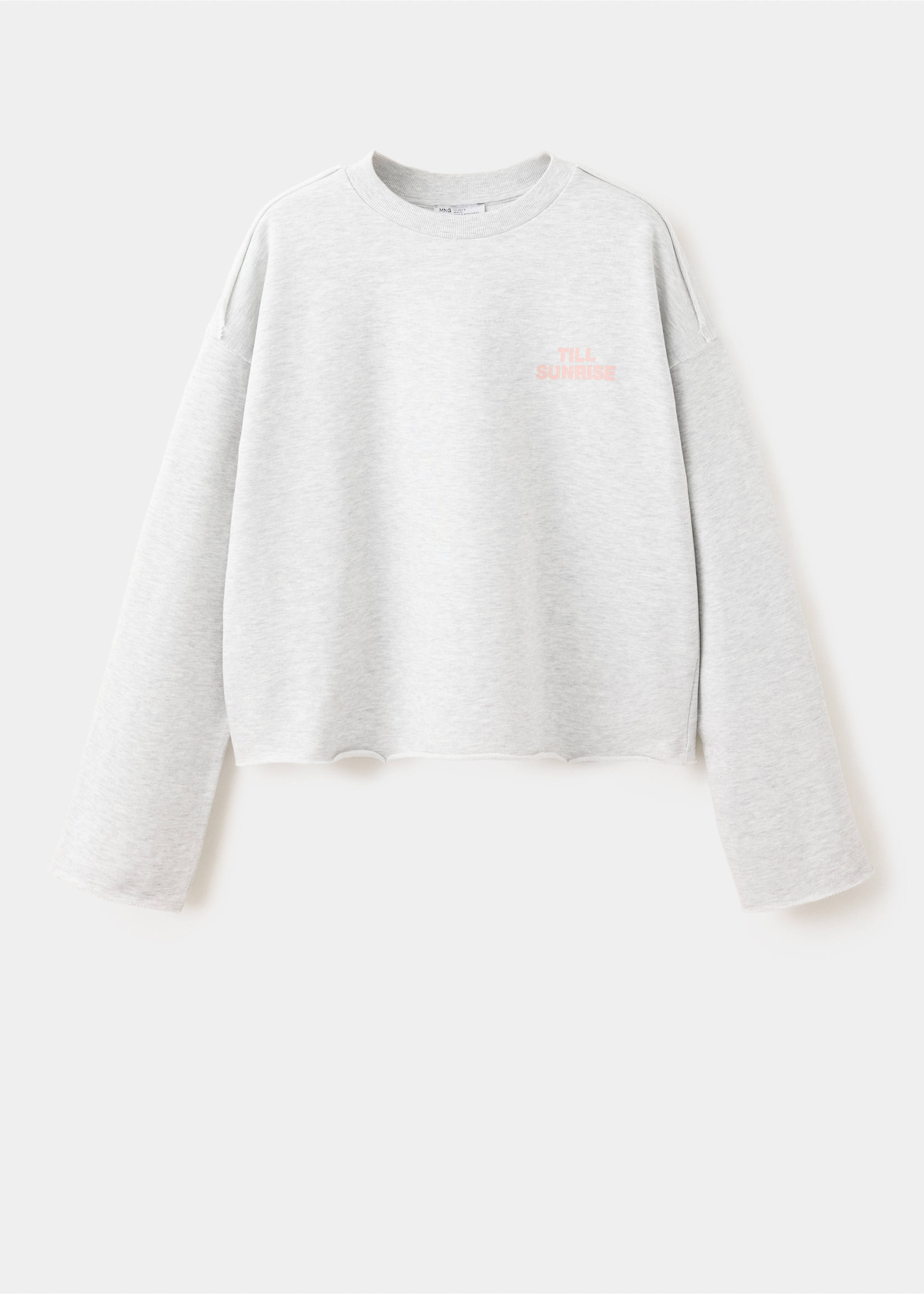 Sweatshirt with printed text - Article without model, Light Heather Grey. Ref: 37074094-00.