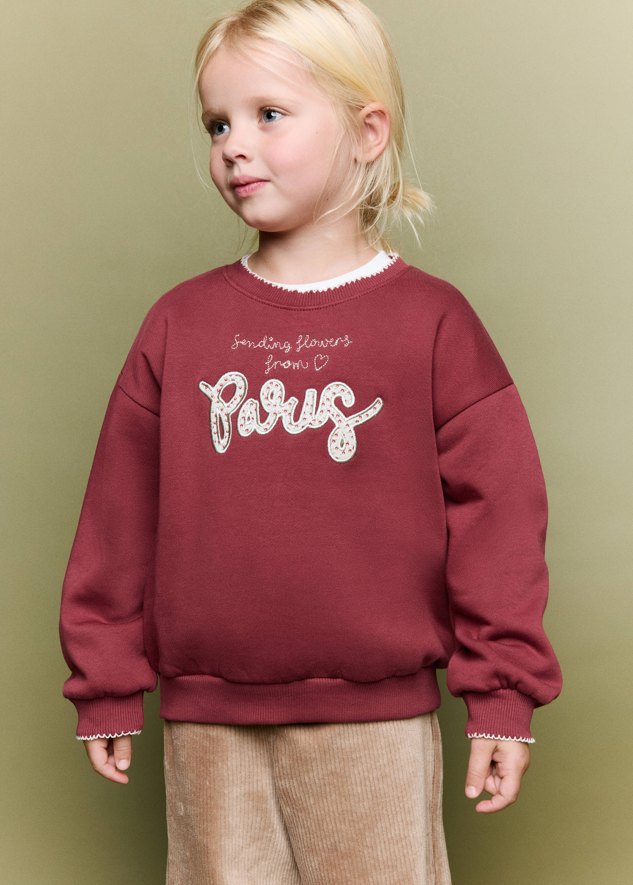 Sweatshirt with embroidered detail - Medium plane
