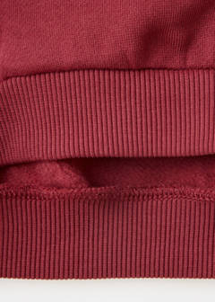 Sweatshirt with embroidered detail — Cherry 7