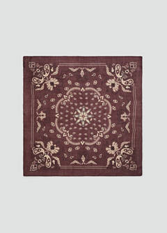 Paisley print scarf — Chocolate 4