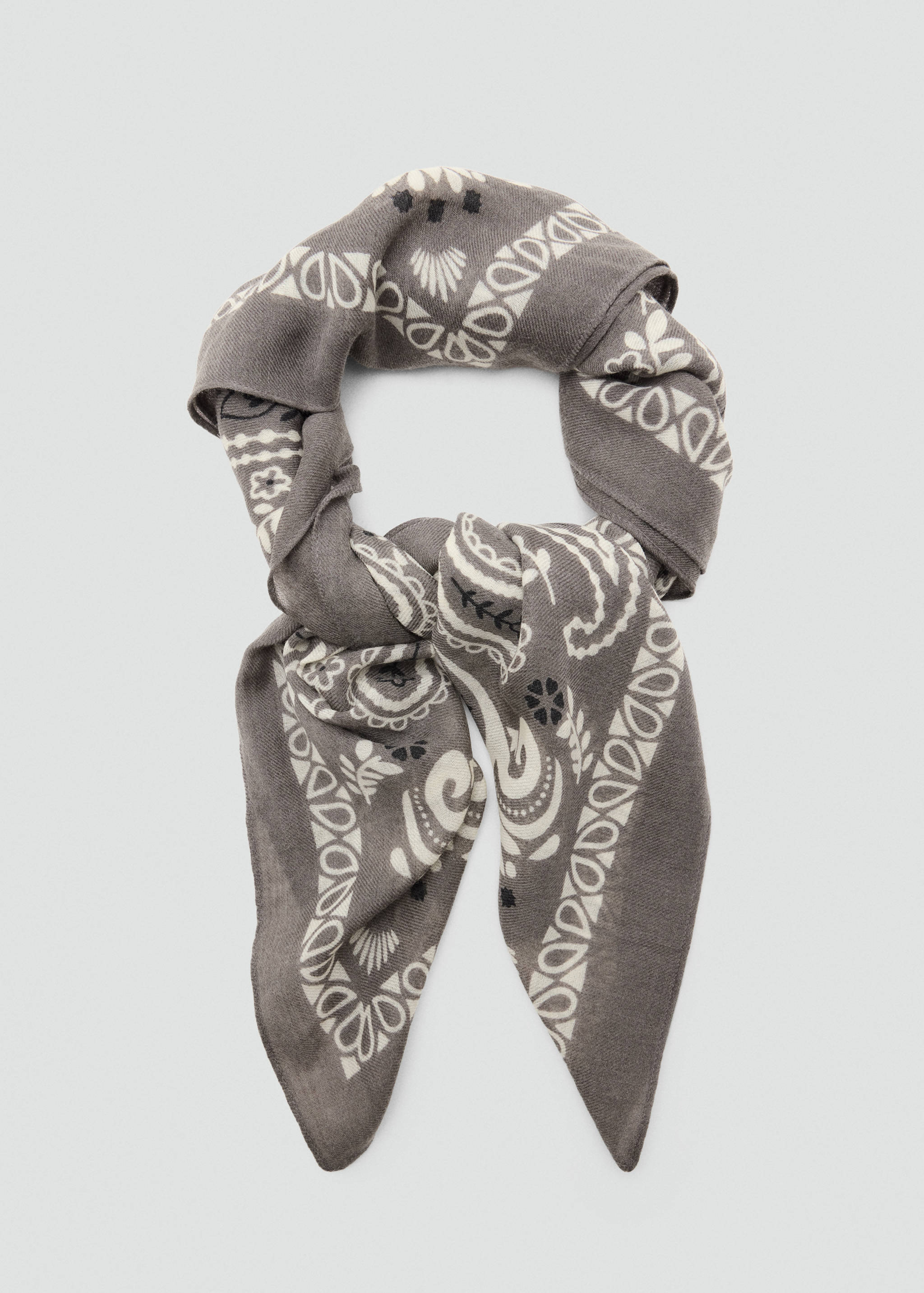 Paisley print scarf - Details of the article 1