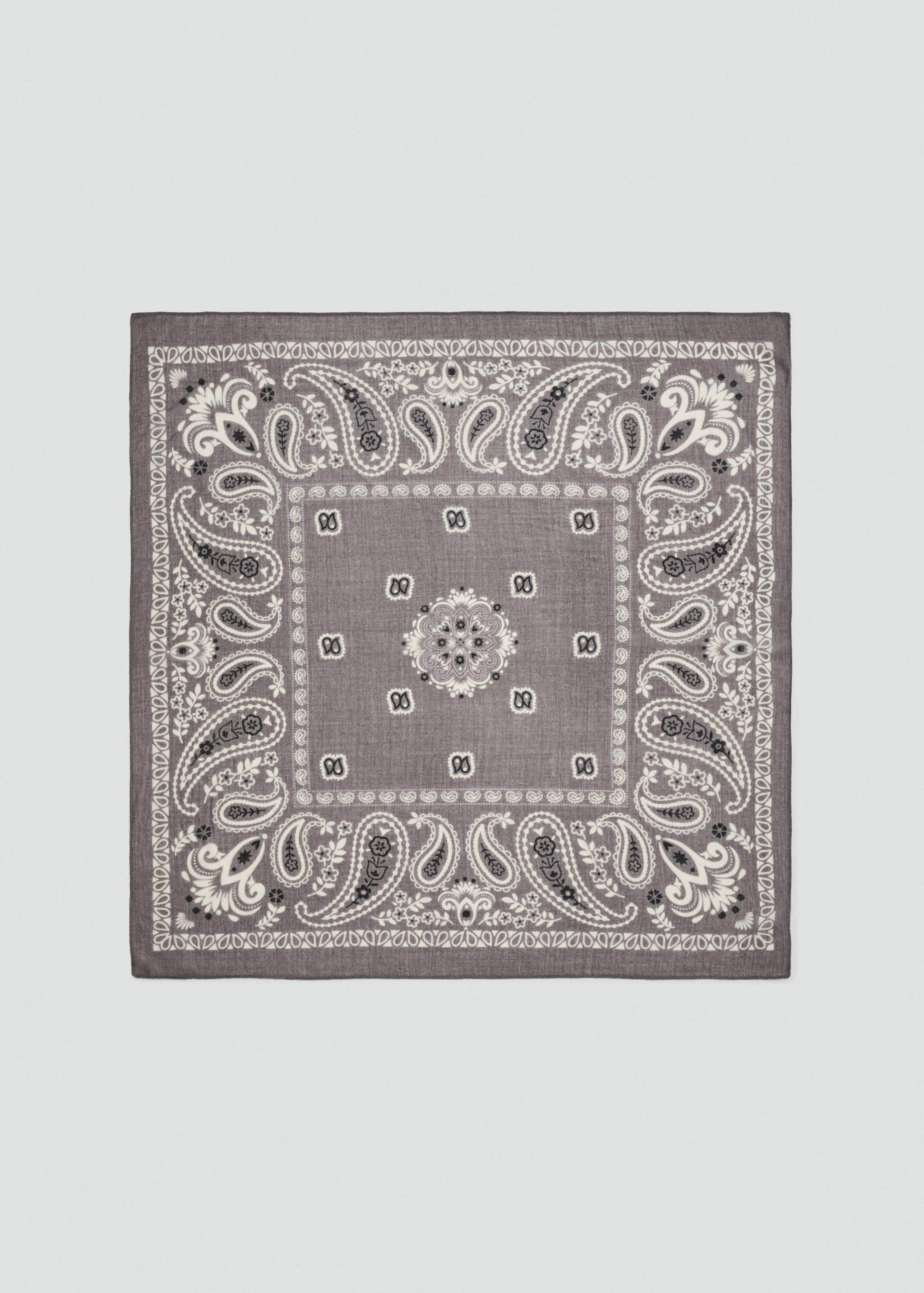 Paisley print scarf - Details of the article 2