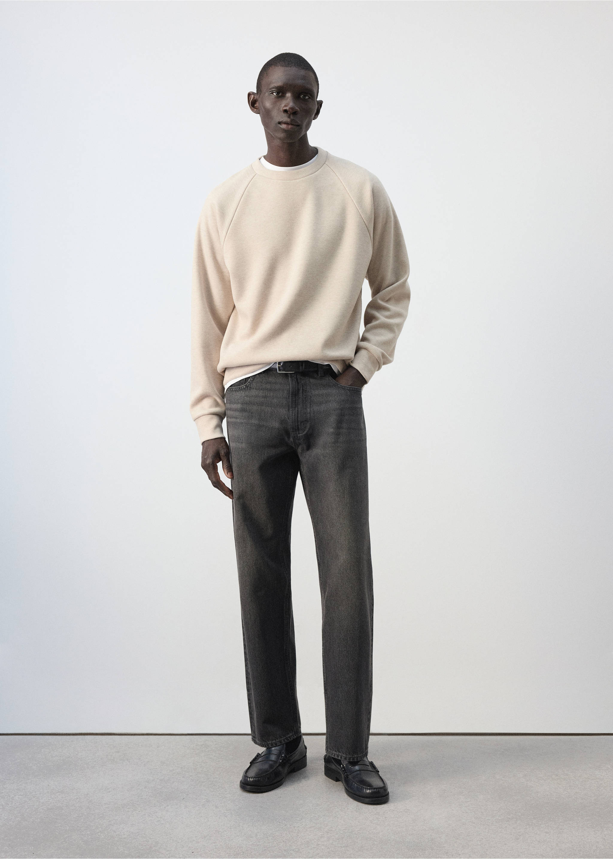 Brushed-effect sweatshirt - General plane, Beige. Ref: 37085987-00.