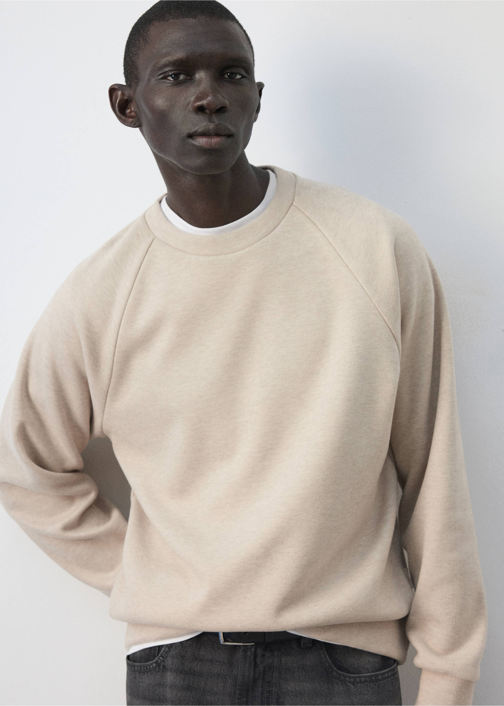 Brushed-effect sweatshirt - Details of the article 4, Beige. Ref: 37085987-00.
