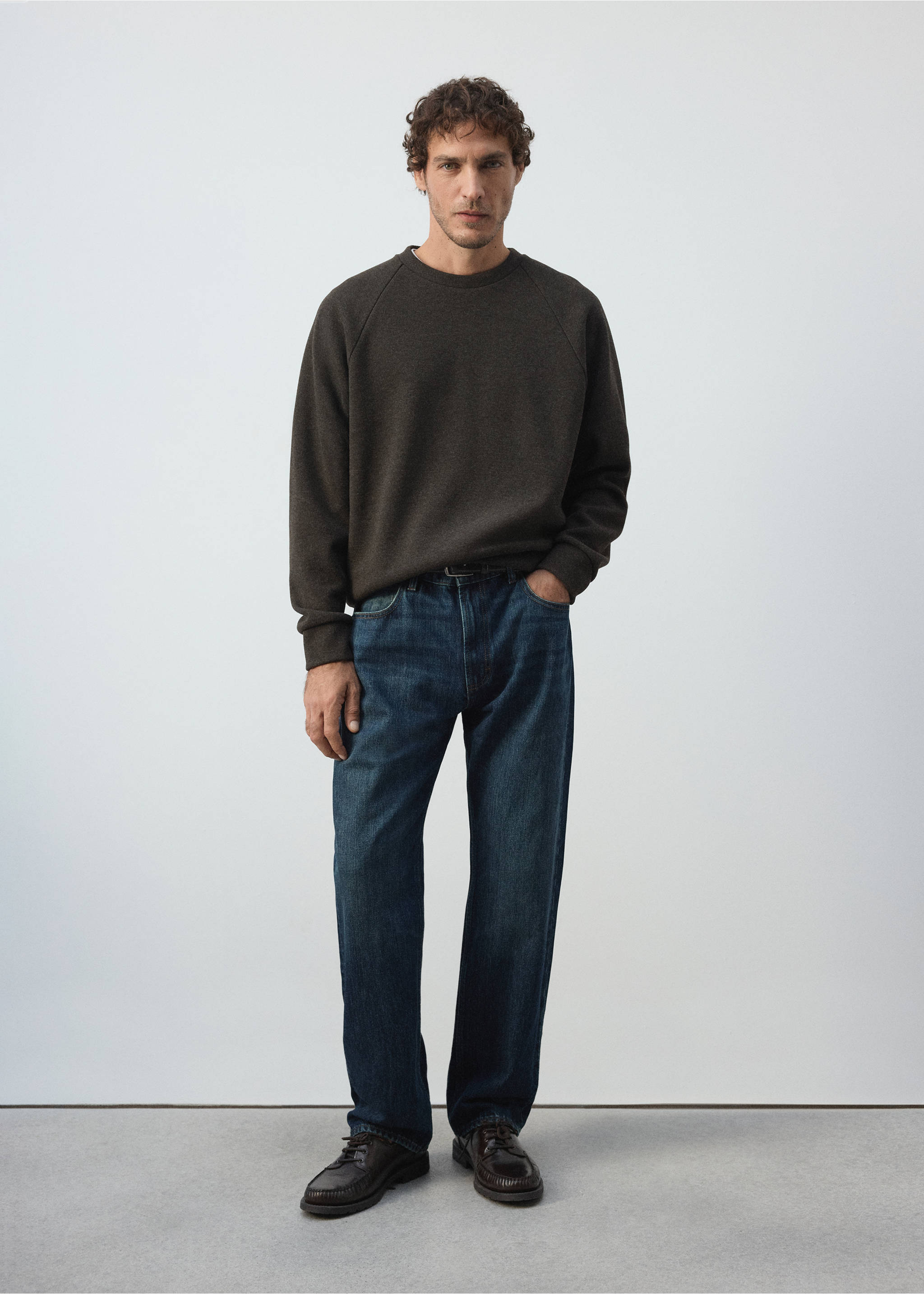 Brushed-effect sweatshirt - General plane, Brown. Ref: 37085987-01.