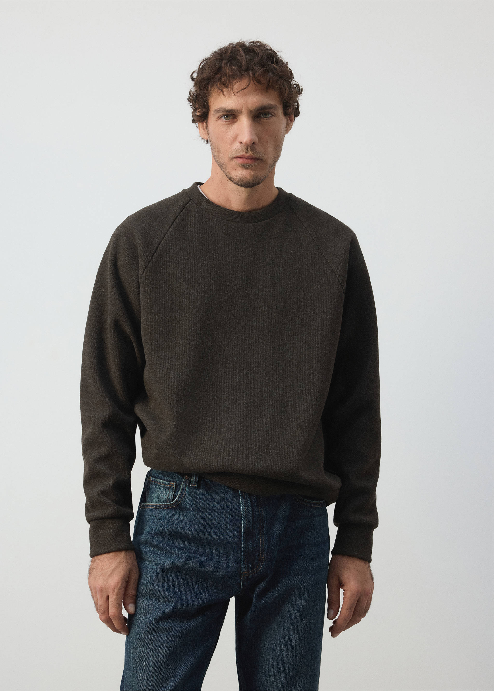 Brushed-effect sweatshirt - Medium plane