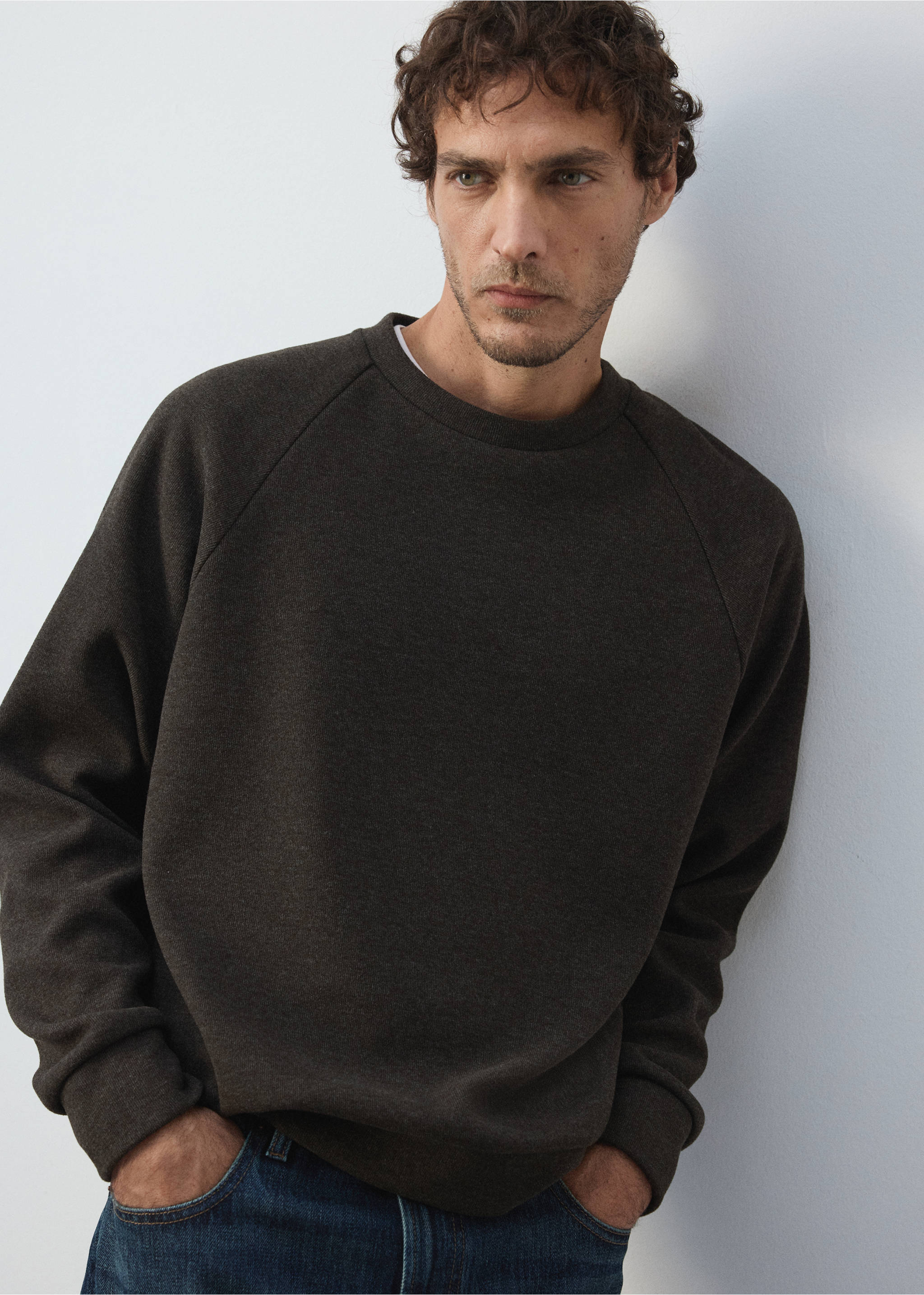 Brushed-effect sweatshirt - Details of the article 1, Brown. Ref: 37085987-01.