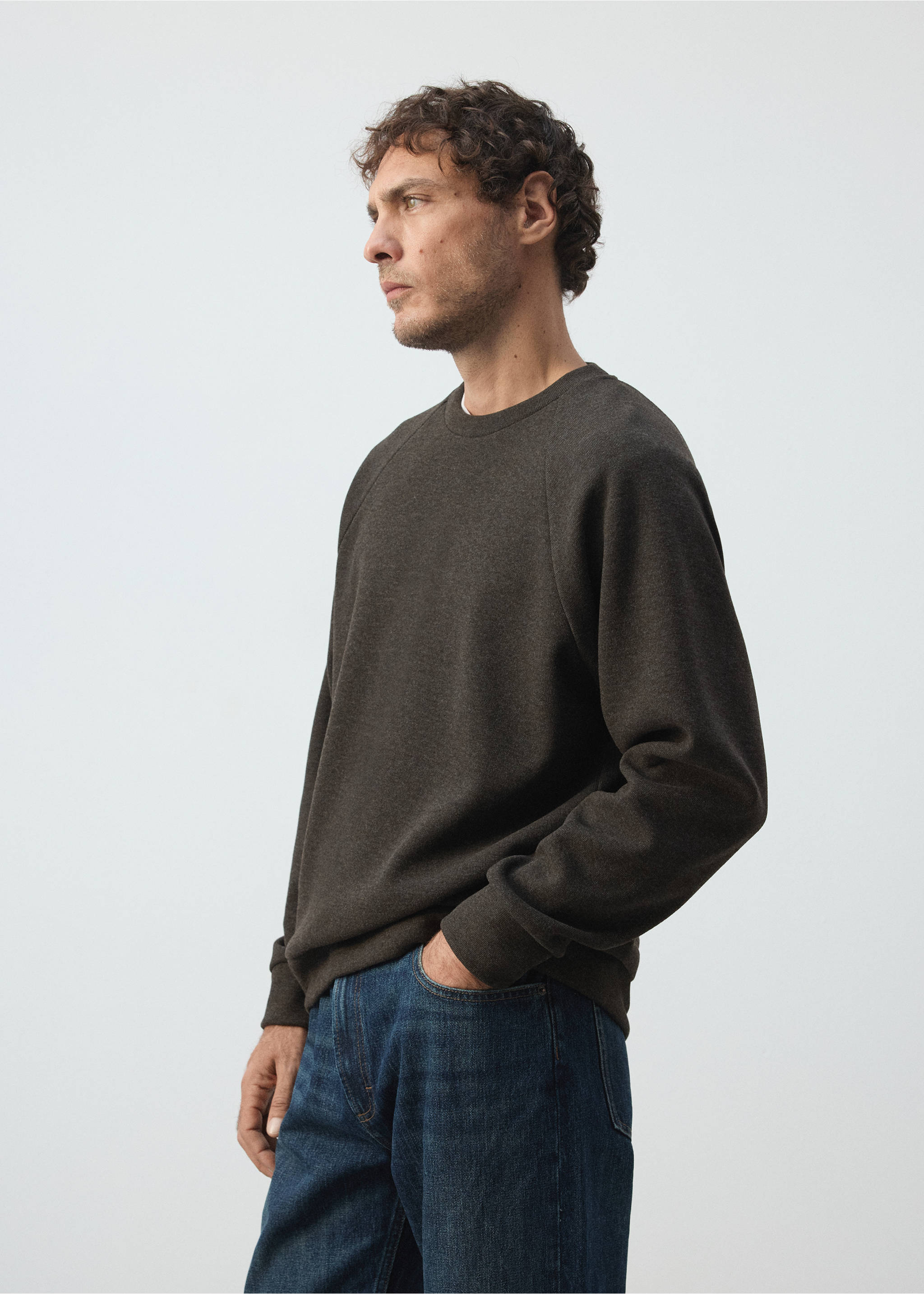 Brushed-effect sweatshirt - Details of the article 2, Brown. Ref: 37085987-01.