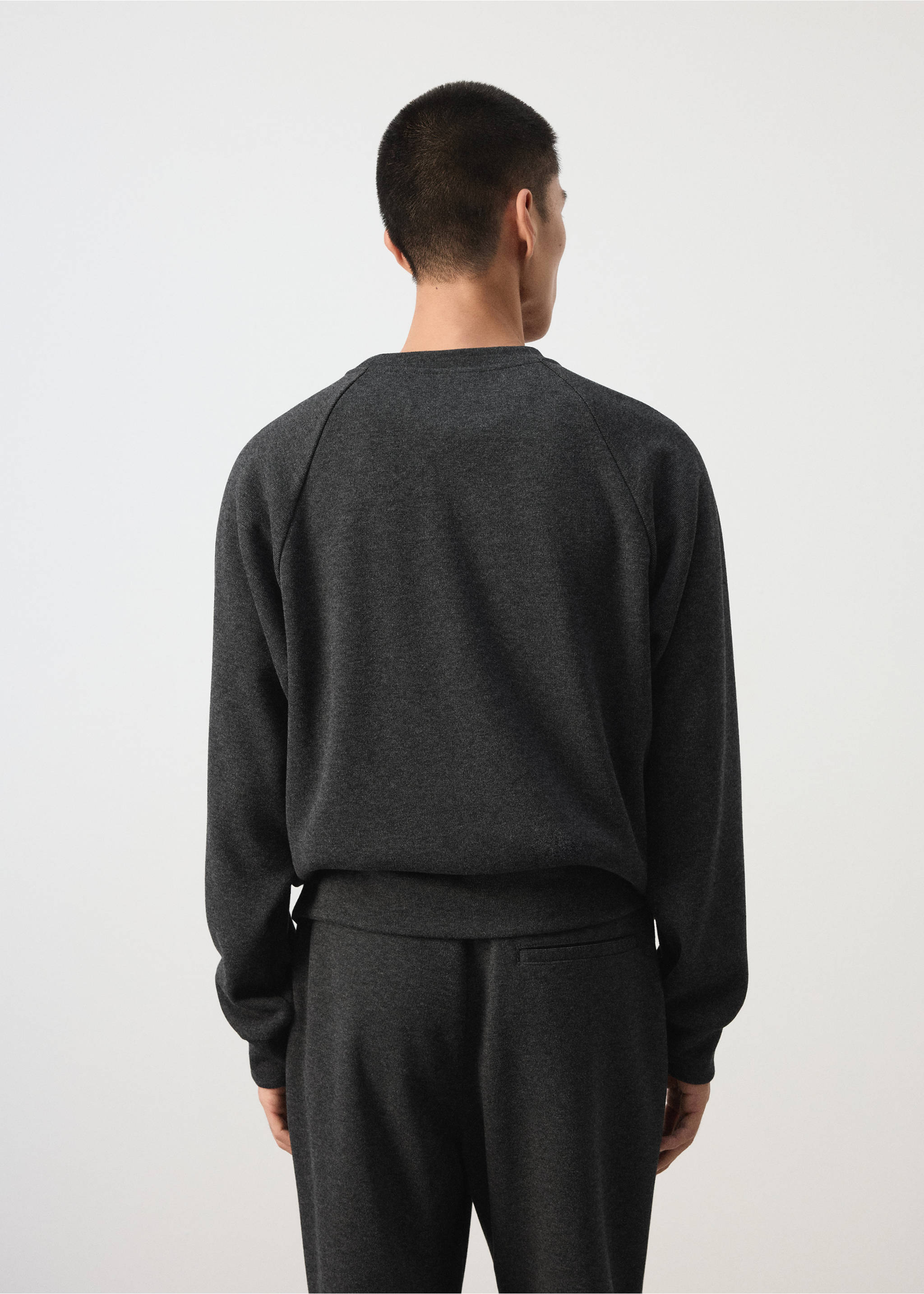 Sweatshirt van geborstelde sweatstof, regular fit - Achterkant van het artikel, Donkergrijs. Ref: 37085987-00.