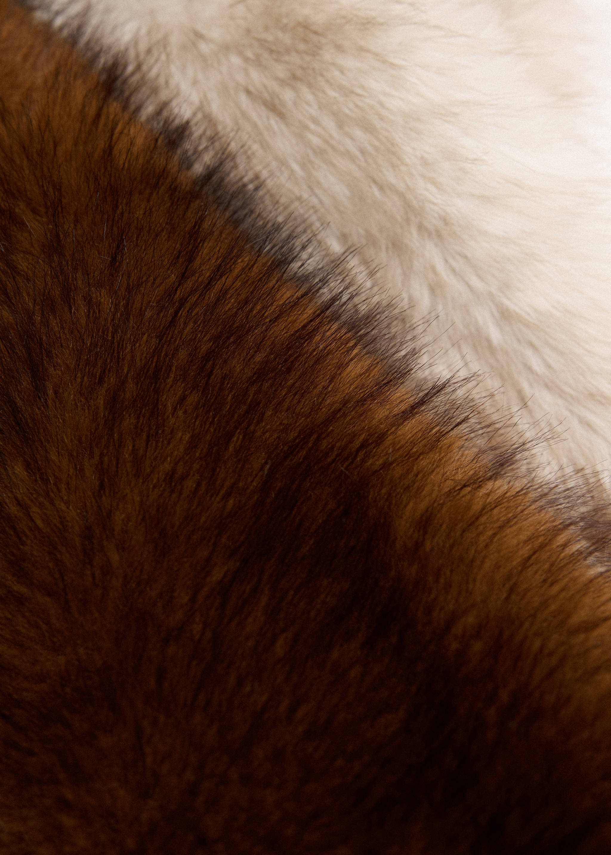Faux fur contrast scarf - Details of the article 1