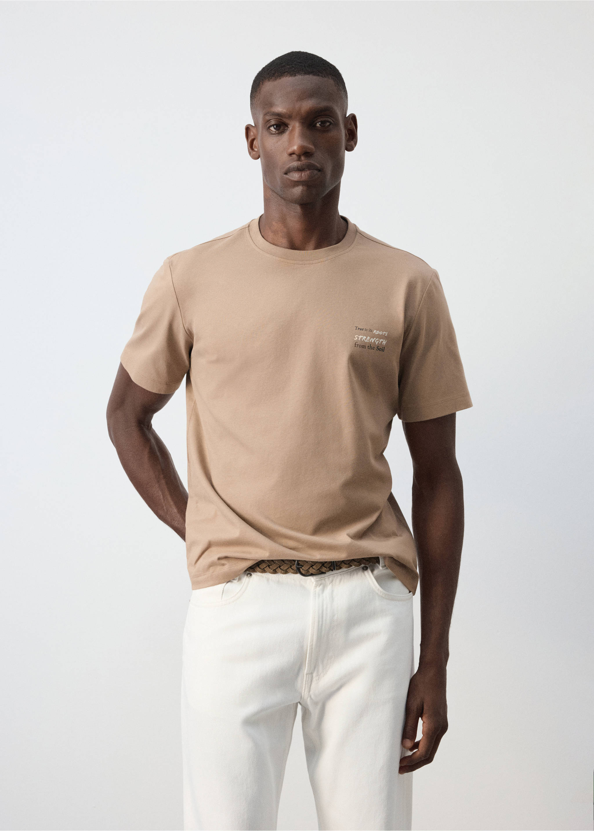 100% cotton printed t-shirt - Medium plane, Sand. Ref: 37087789-00.