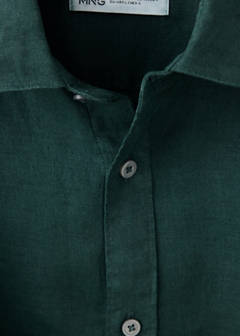 100% linen regular-fit shirt — Green 7