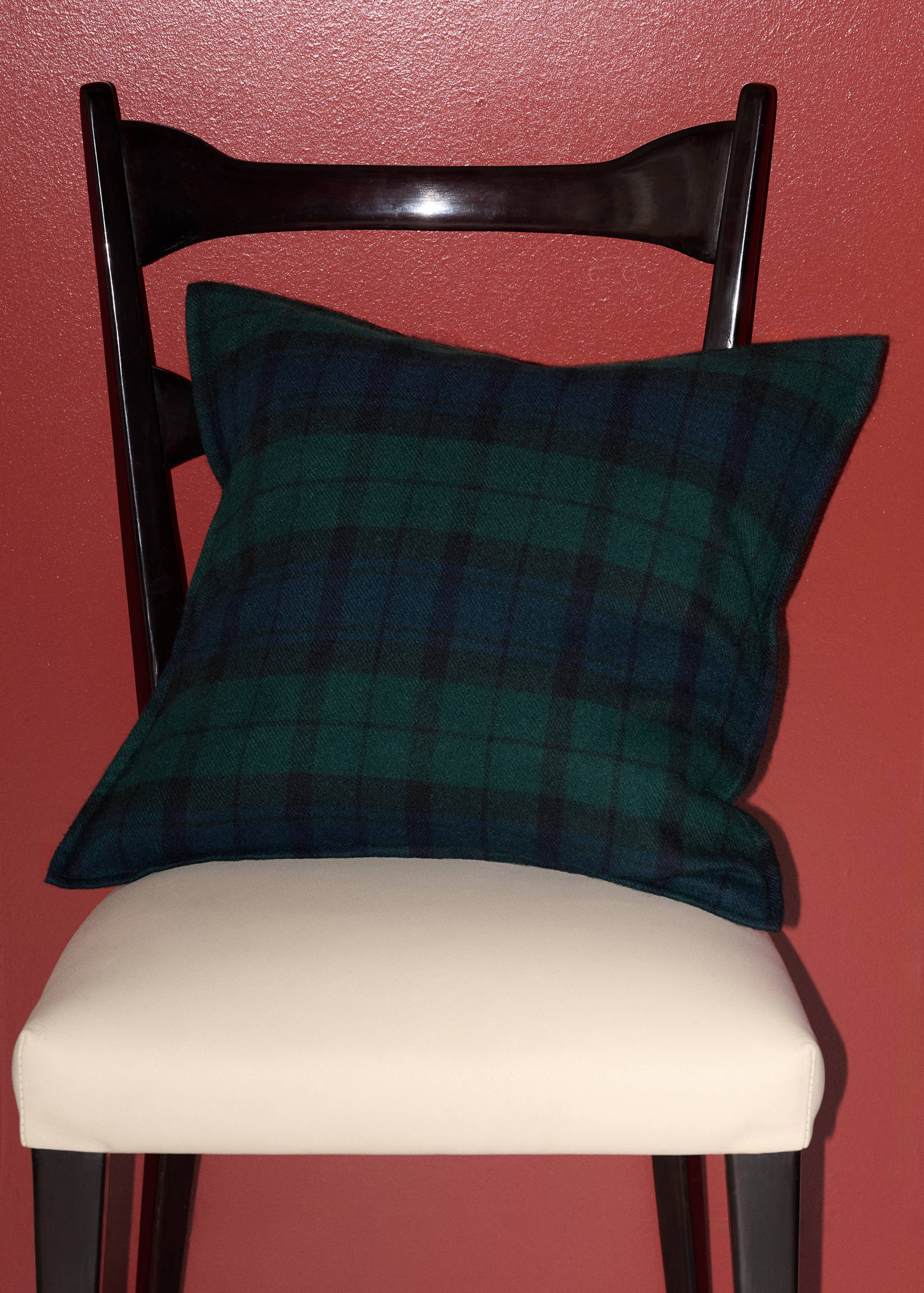 CUSHION CASE CLAUS - Pla general