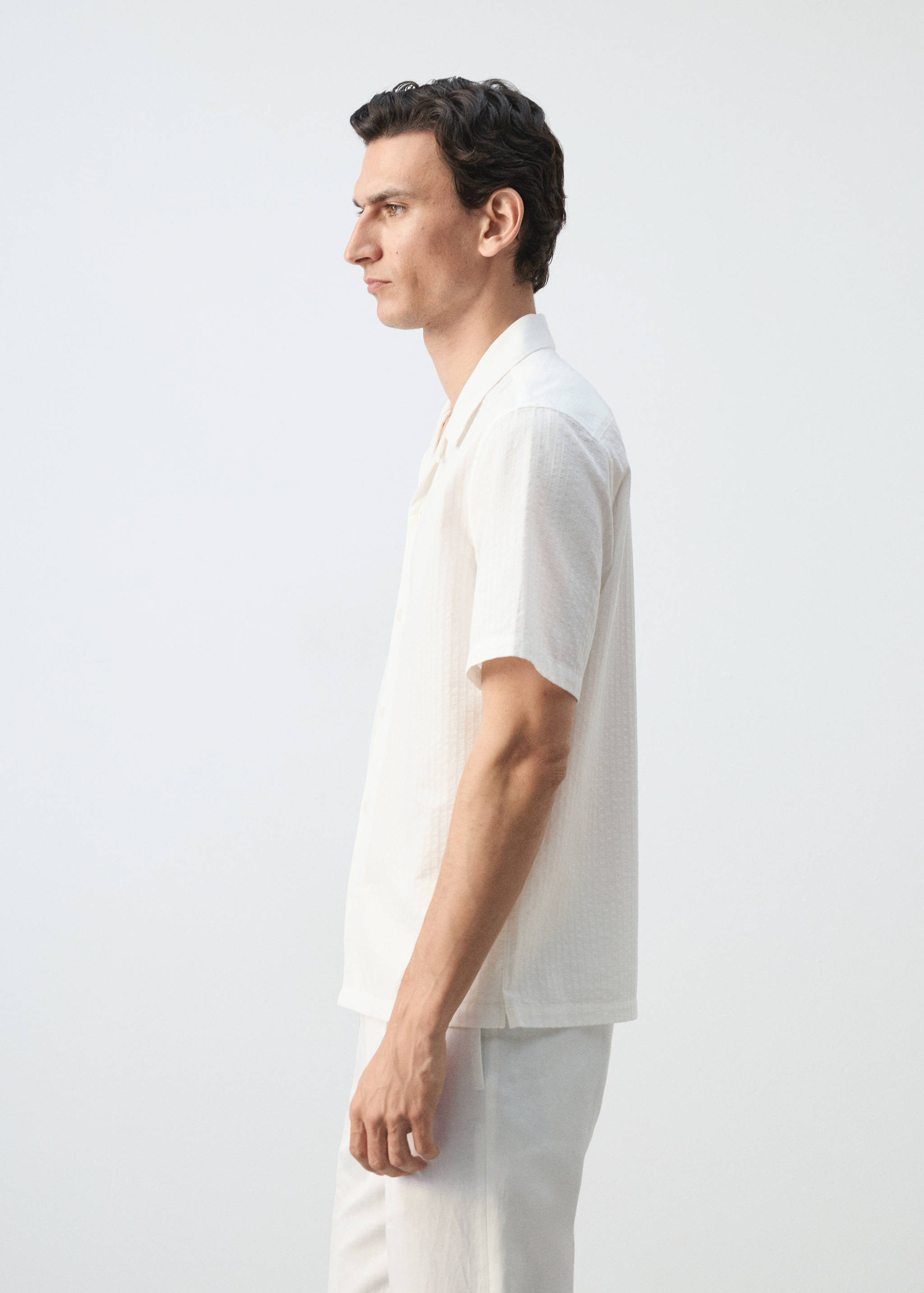 Chemise 100 % coton regular-fit - Détail de l'article 2