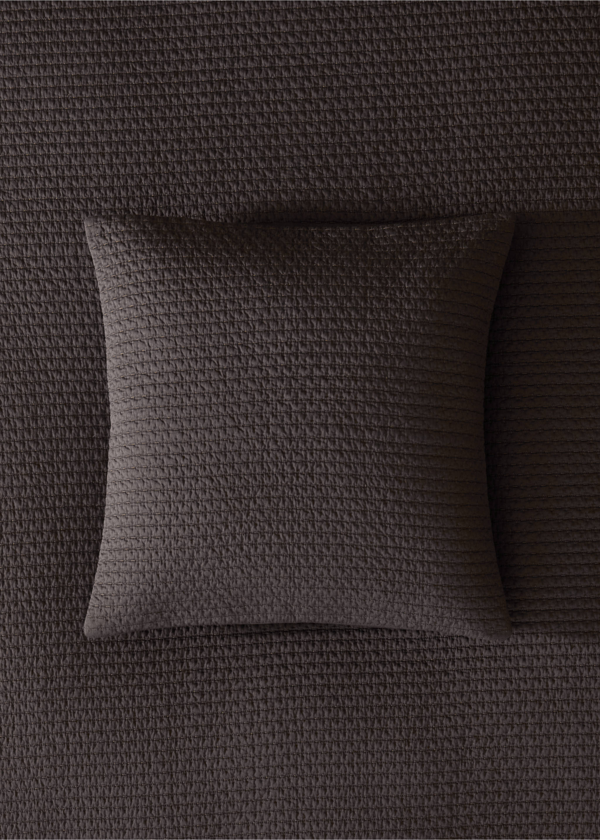 100% cotton cushion cover for bed 50x50 cm - General plane, Chocolate. Ref: 37092910-00.