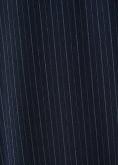 Low-rise pinstripe trousers — Navy 5
