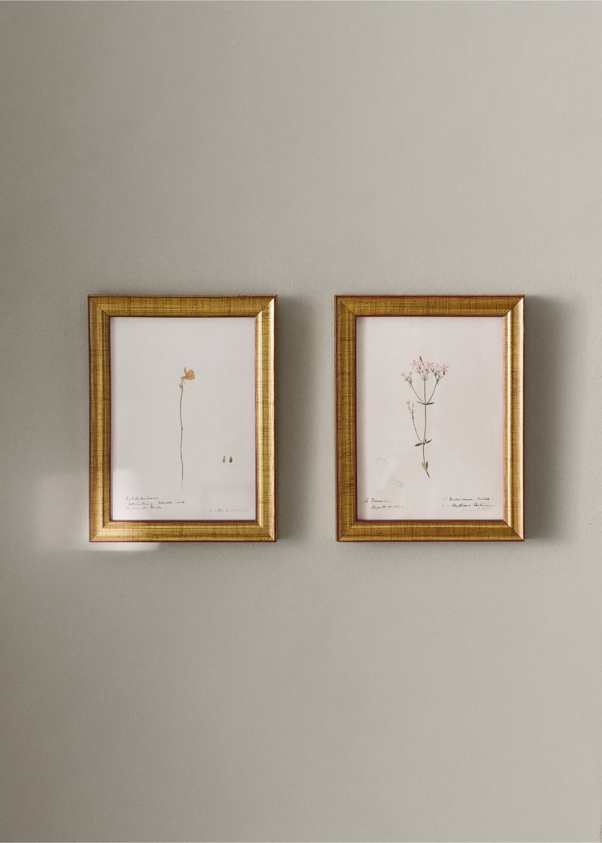 Botanical art canvas - General plane, Yellow. Ref: 37093325-00.