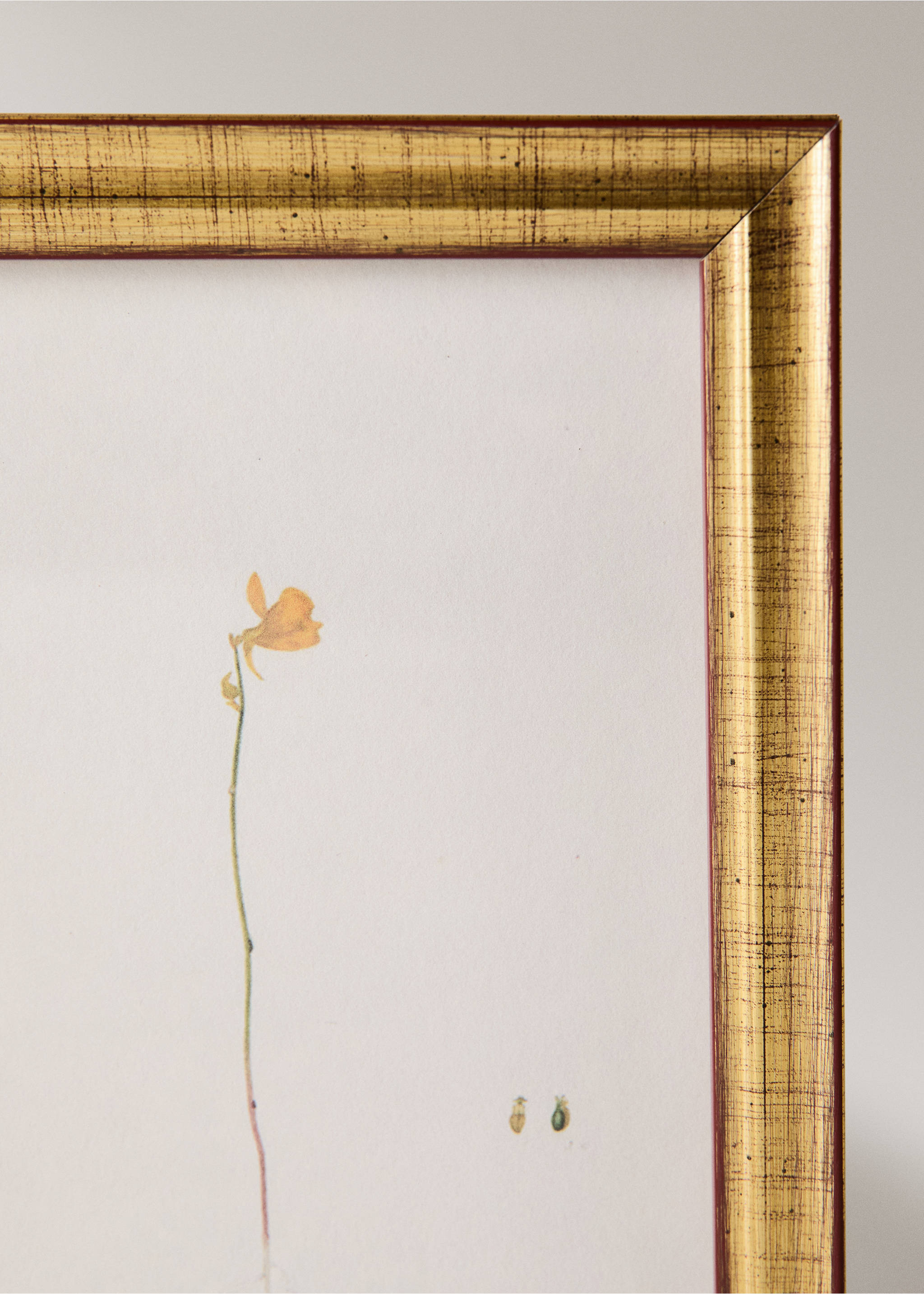 Botanical art canvas - Details of the article 2, Yellow. Ref: 37093325-00.