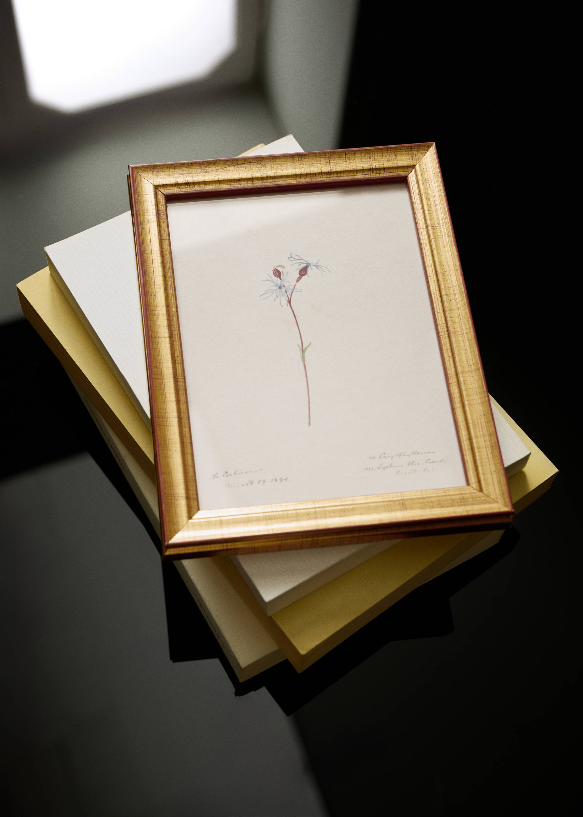 Botanical art canvas - General plane, Sky Blue. Ref: 37093325-00.