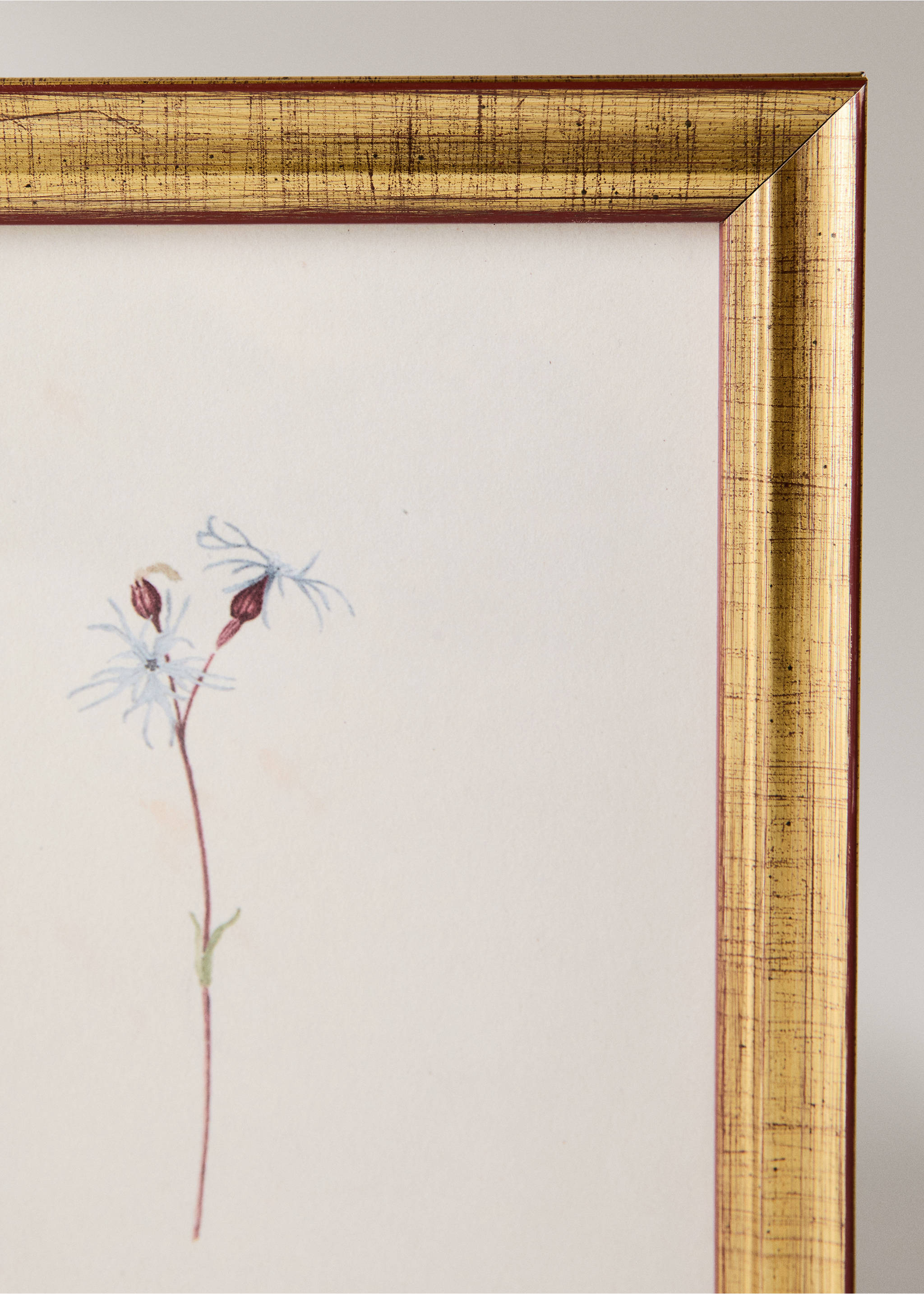 Botanical art canvas - Details of the article 2, Sky Blue. Ref: 37093325-00.