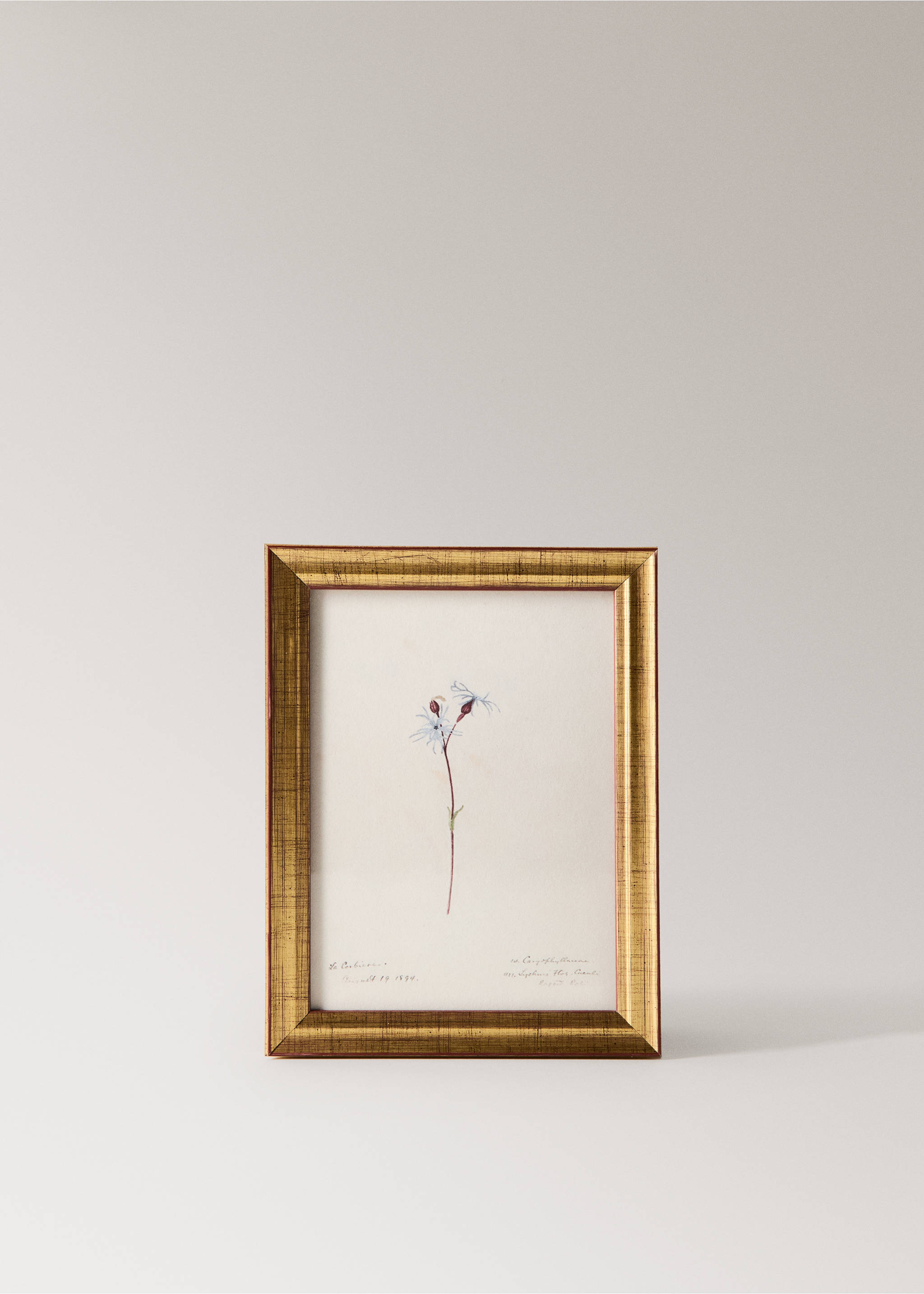 Botanical art canvas - Article without model, Sky Blue. Ref: 37093325-00.
