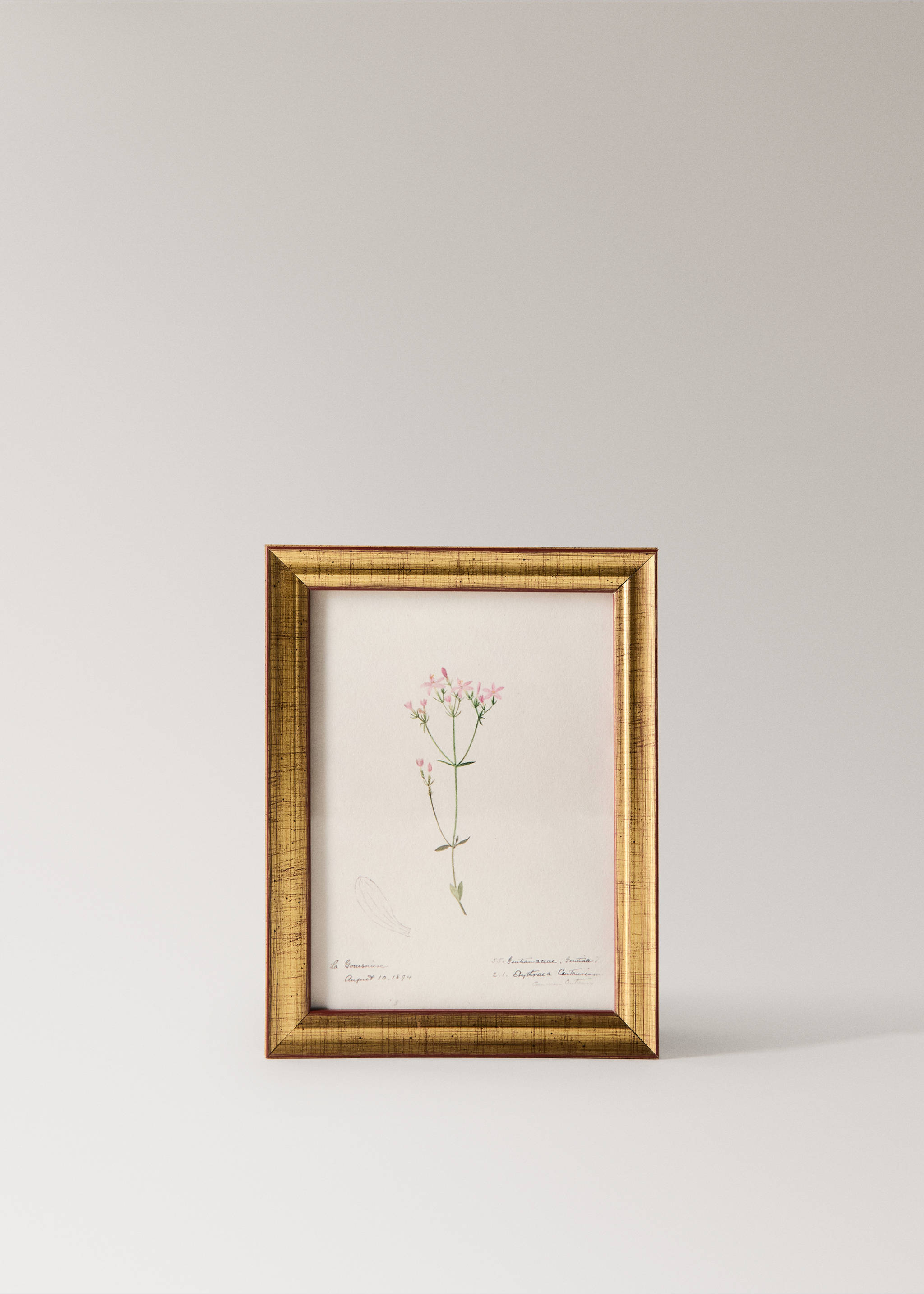 Botanical art canvas - Article without model, Light Pink. Ref: 37093325-00.