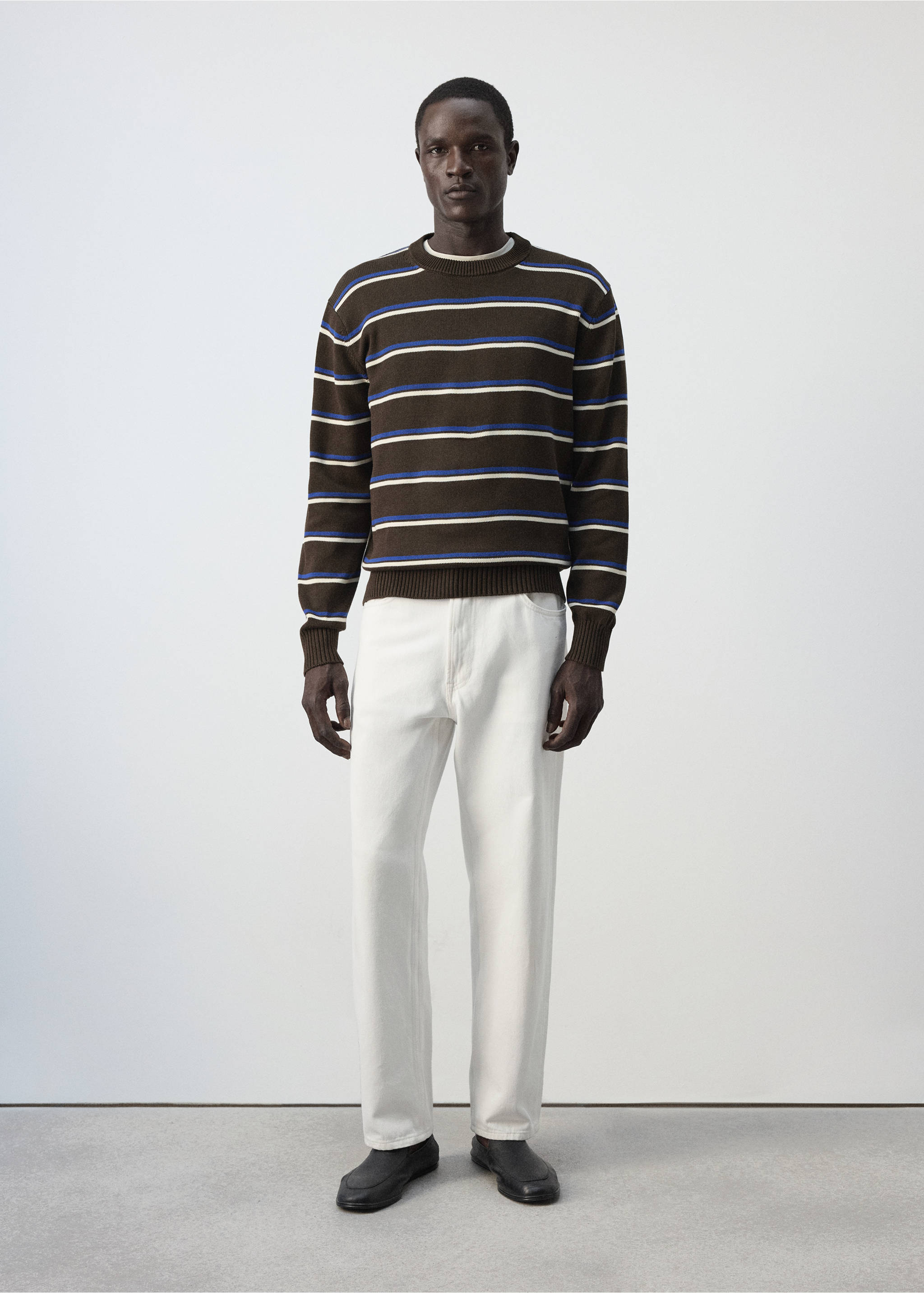 100% cotton mid-weight knit jumper - General plane, Brown. Ref: 37094422-00.