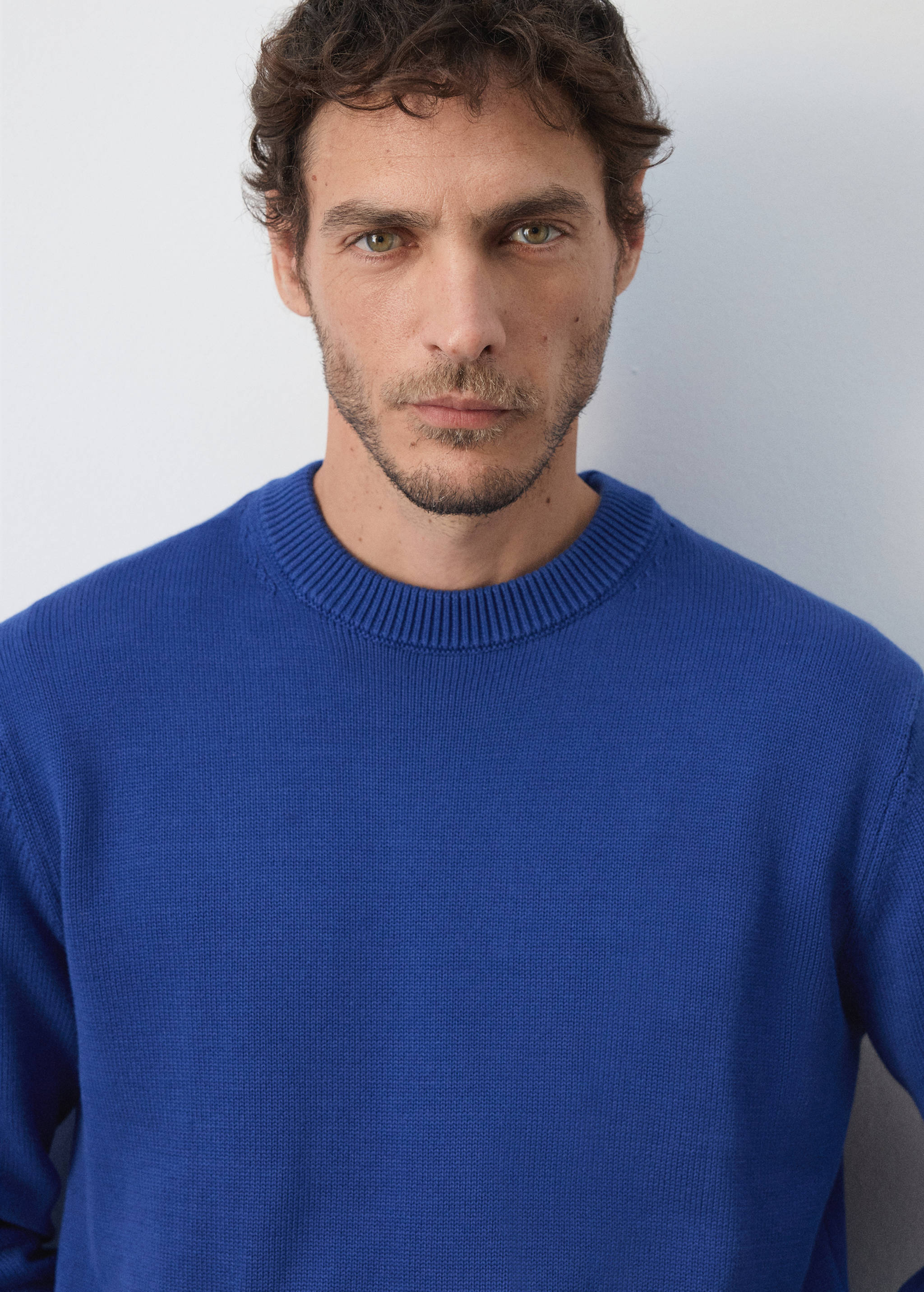 100% cotton mid-weight knit jumper - Details of the article 1